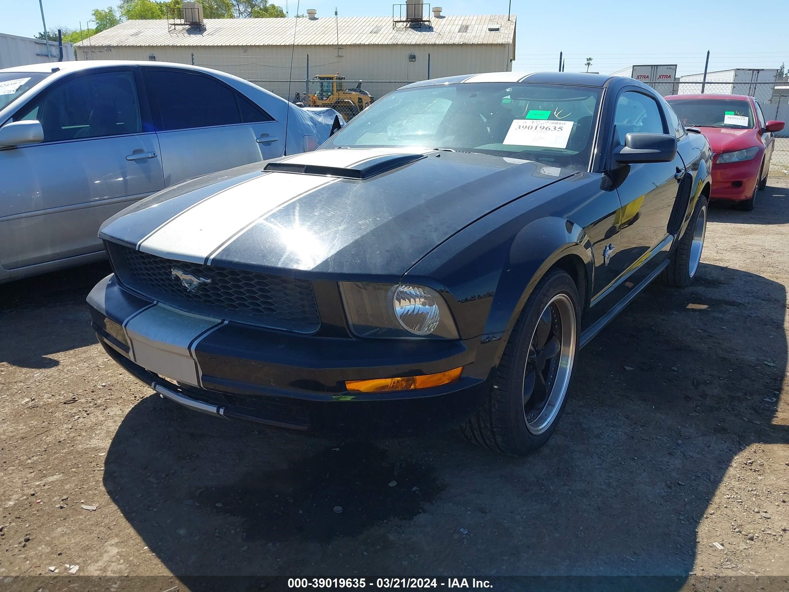 Photo 1 VIN: 1ZVHT80N295103230 - FORD MUSTANG 