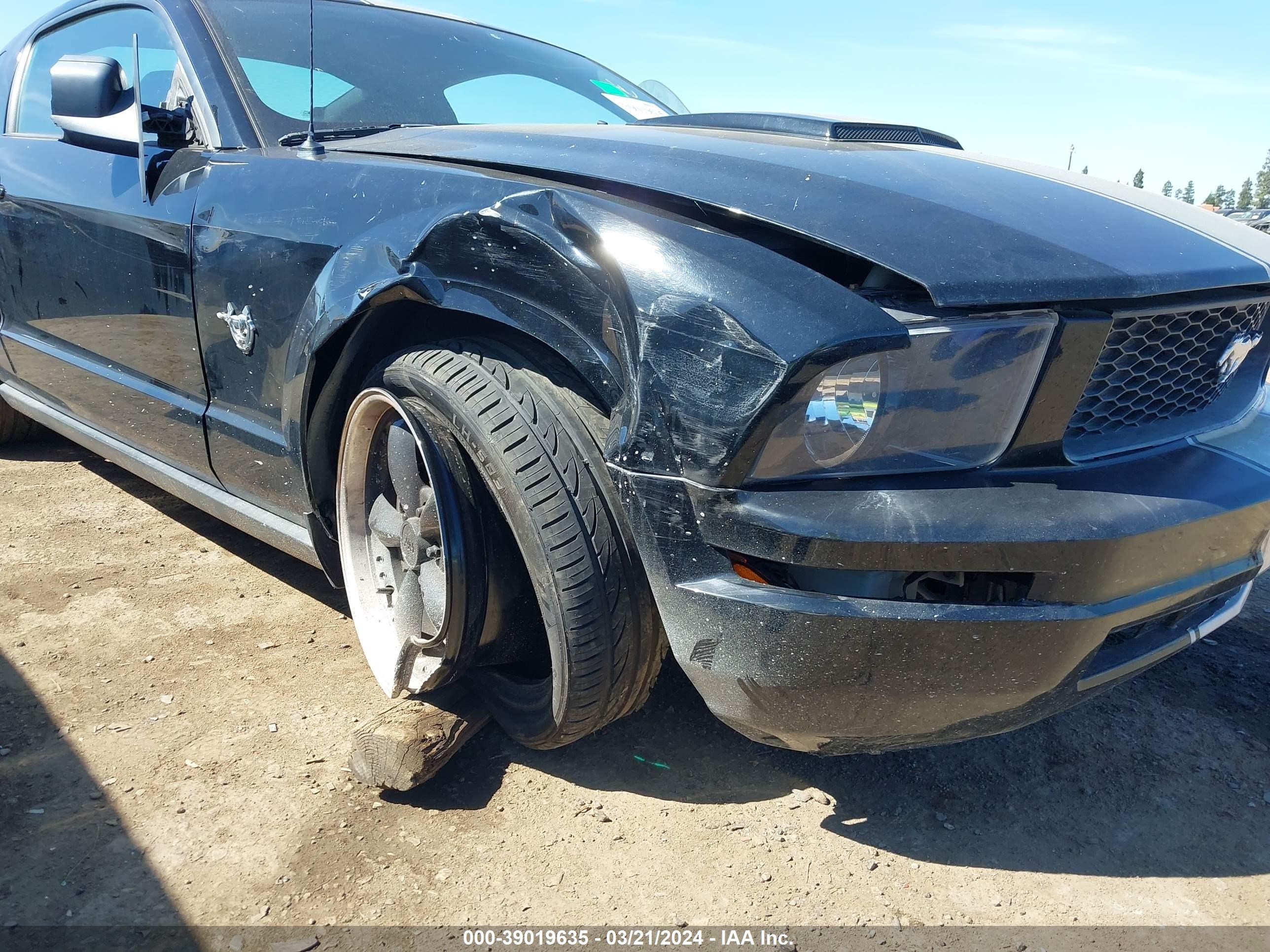 Photo 5 VIN: 1ZVHT80N295103230 - FORD MUSTANG 