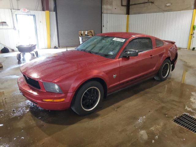 Photo 0 VIN: 1ZVHT80N295104409 - FORD MUSTANG 