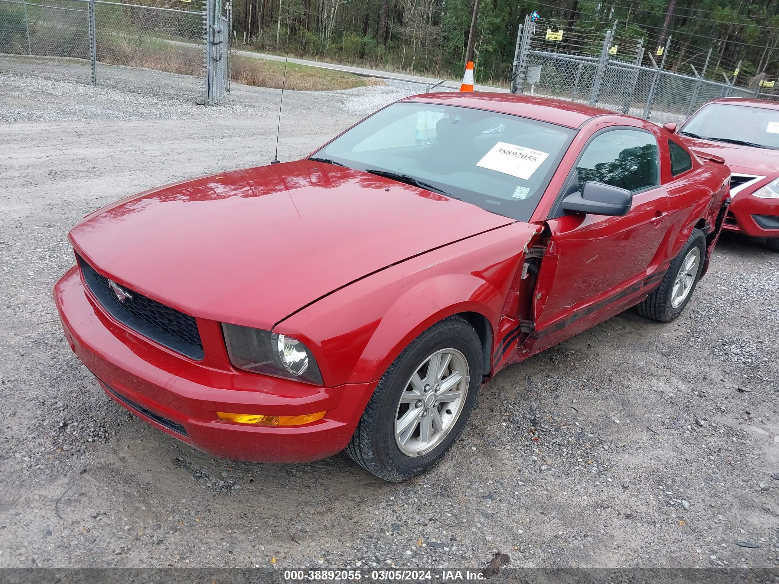 Photo 1 VIN: 1ZVHT80N385117605 - FORD MUSTANG 