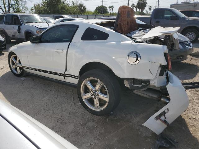 Photo 1 VIN: 1ZVHT80N385154296 - FORD MUSTANG 