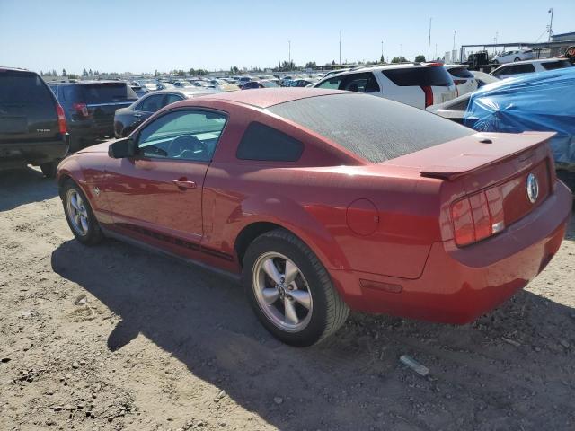 Photo 1 VIN: 1ZVHT80N395140061 - FORD MUSTANG 