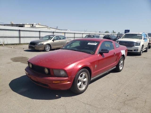 Photo 1 VIN: 1ZVHT80N485117306 - FORD MUSTANG 