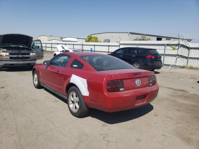 Photo 2 VIN: 1ZVHT80N485117306 - FORD MUSTANG 