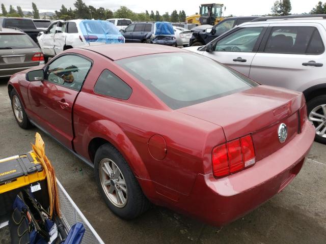 Photo 1 VIN: 1ZVHT80N565110555 - FORD MUSTANG 