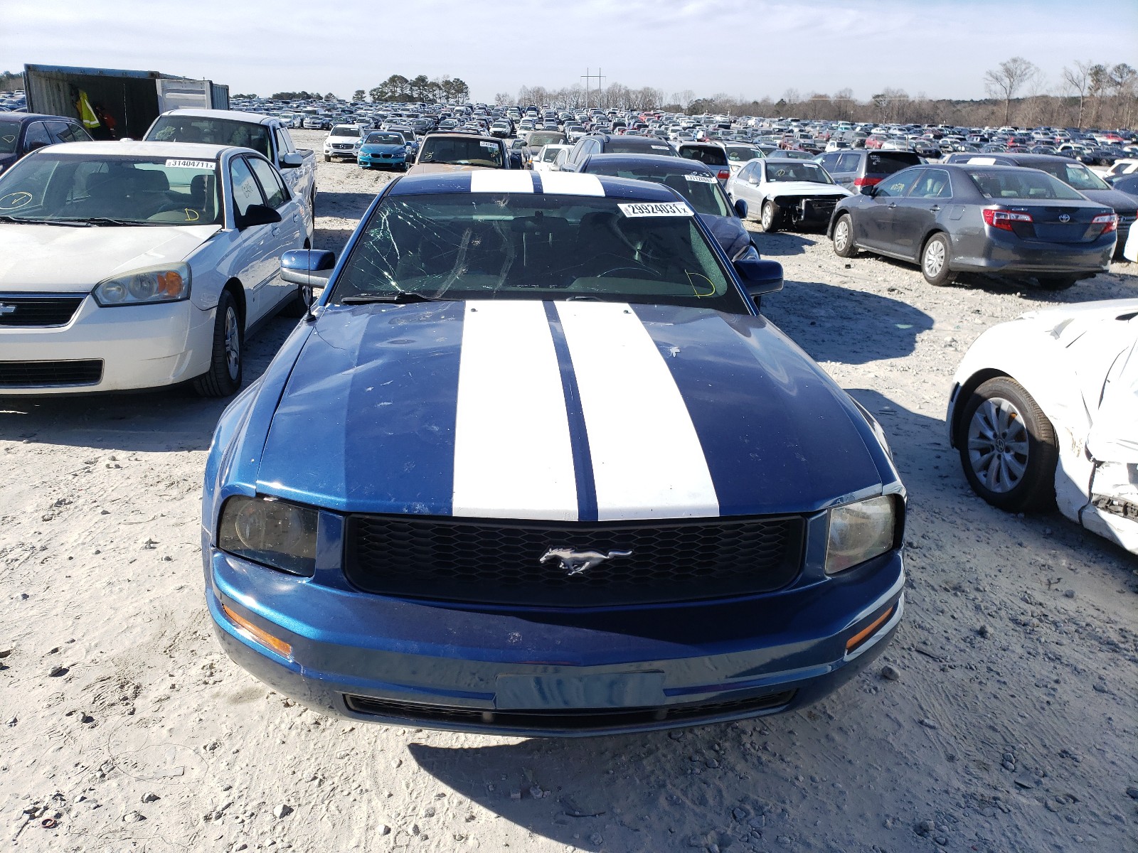 Photo 8 VIN: 1ZVHT80N585163503 - FORD MUSTANG 