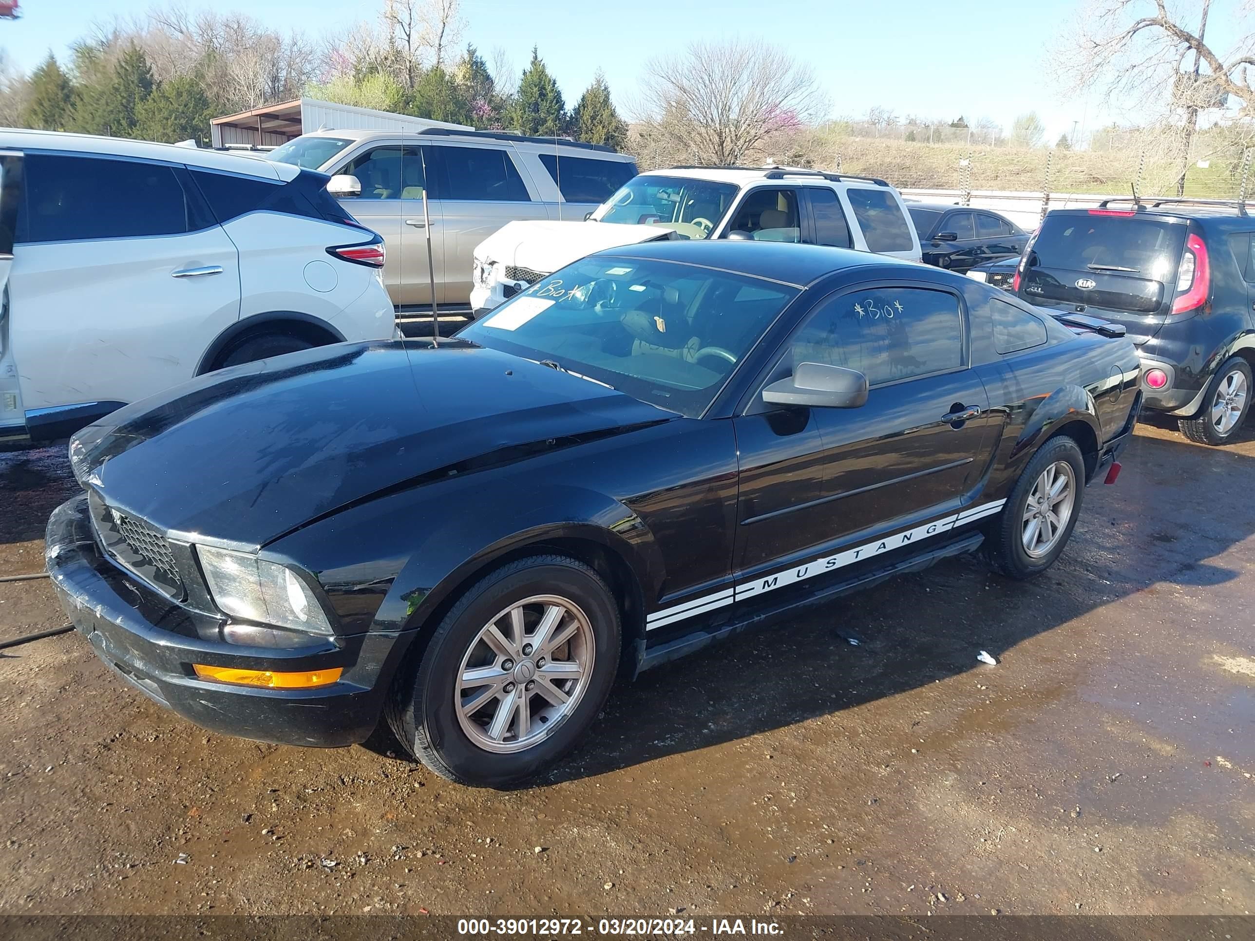 Photo 1 VIN: 1ZVHT80N585201263 - FORD MUSTANG 