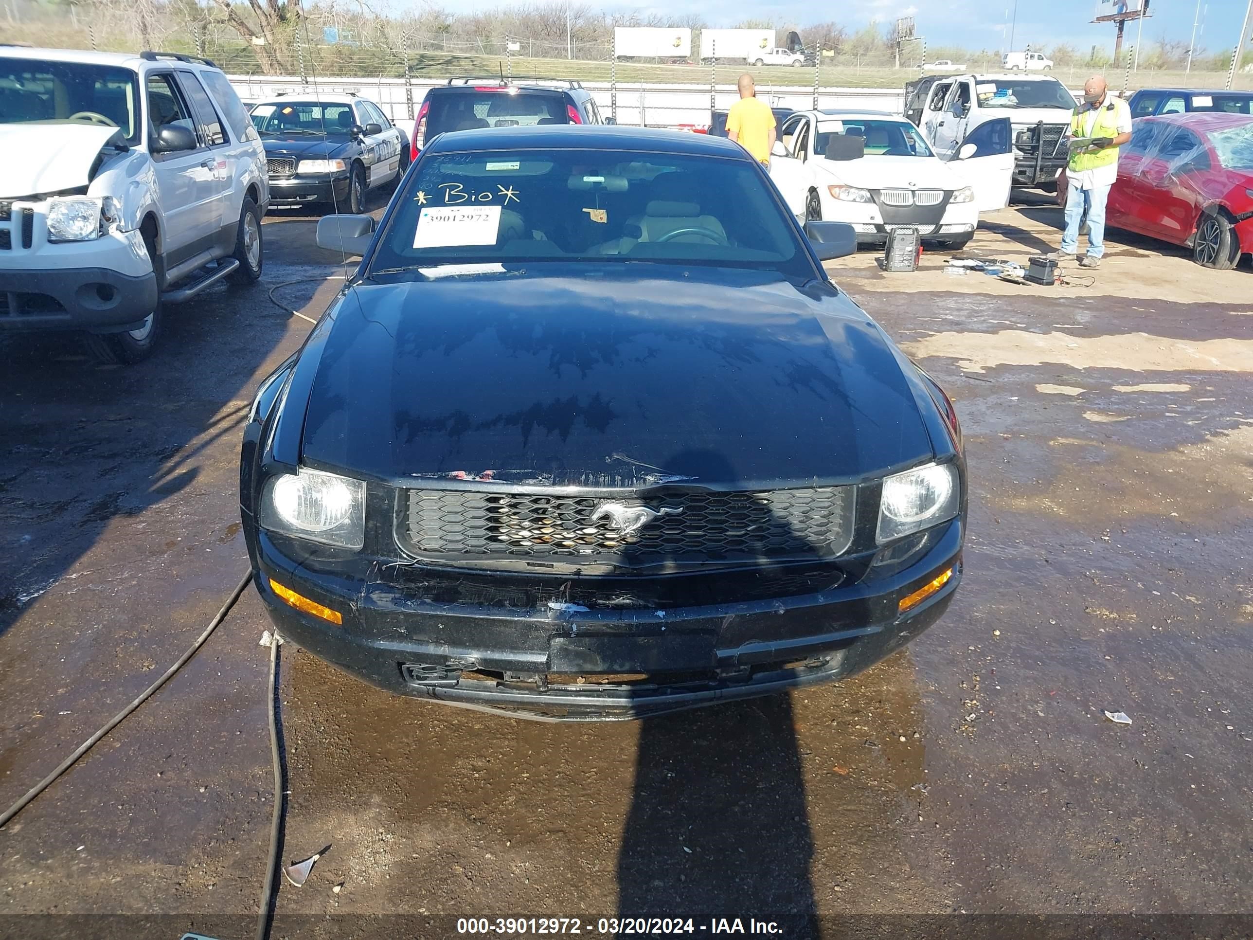 Photo 11 VIN: 1ZVHT80N585201263 - FORD MUSTANG 