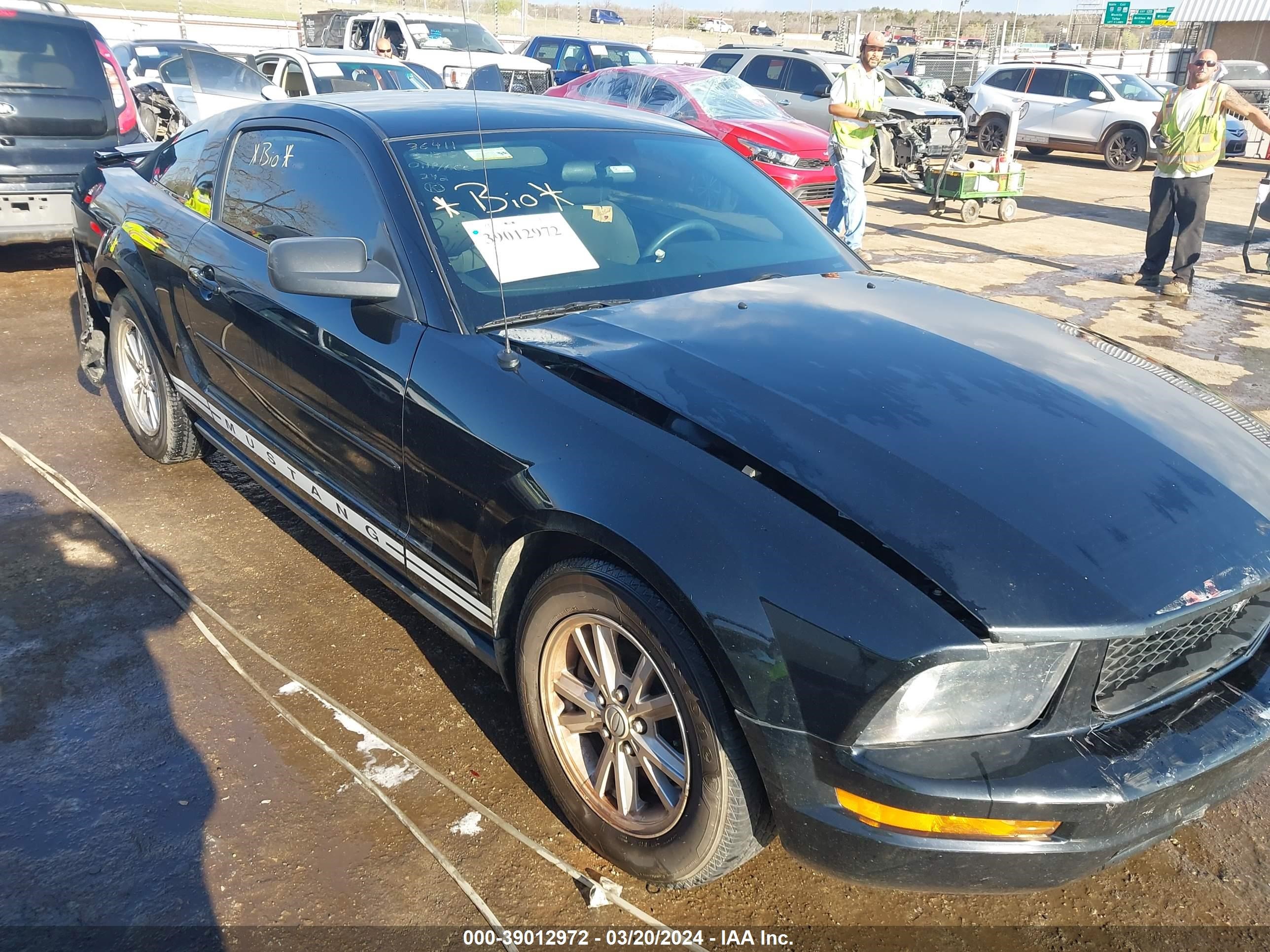 Photo 12 VIN: 1ZVHT80N585201263 - FORD MUSTANG 