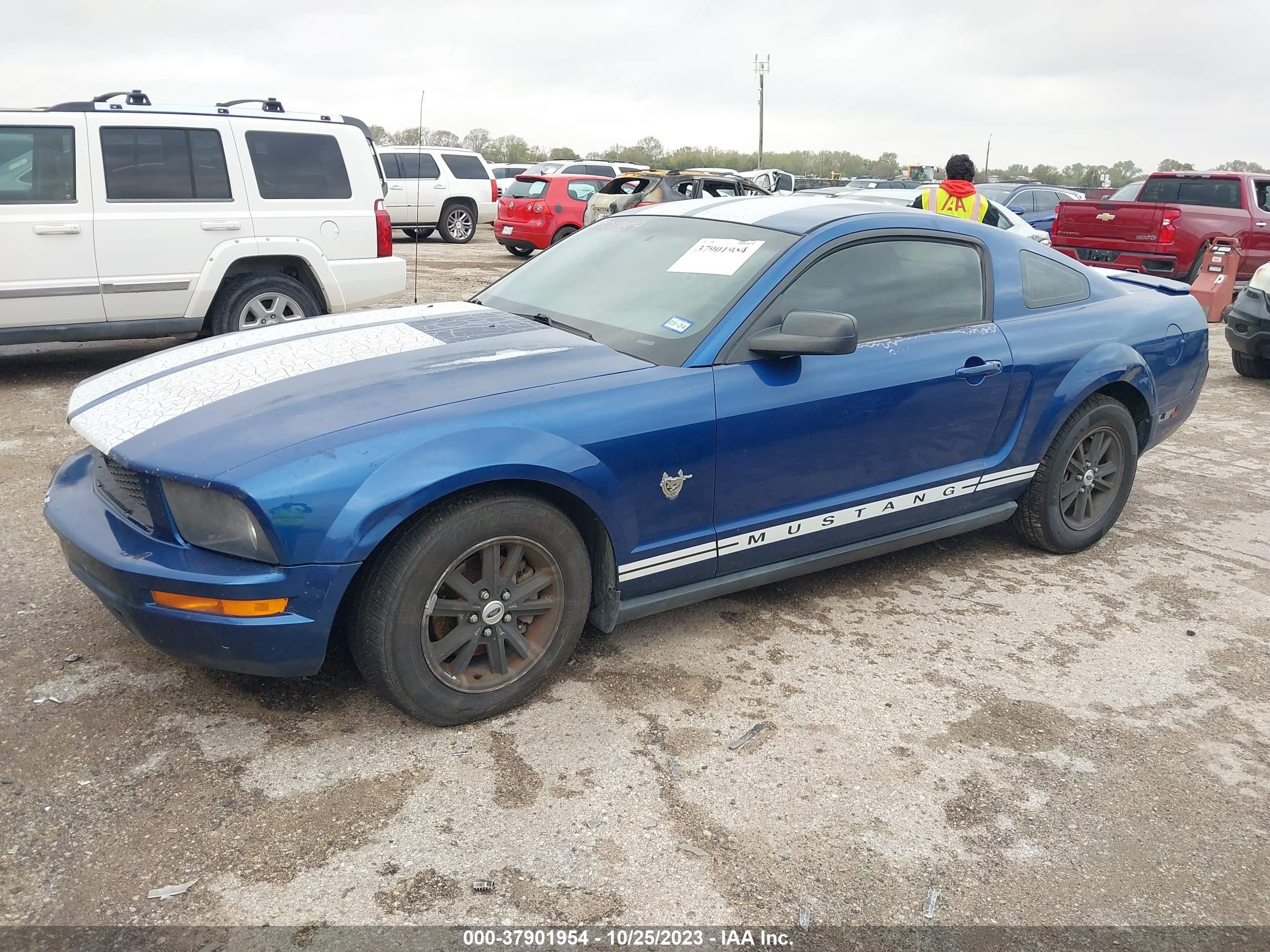 Photo 1 VIN: 1ZVHT80N595124993 - FORD MUSTANG 