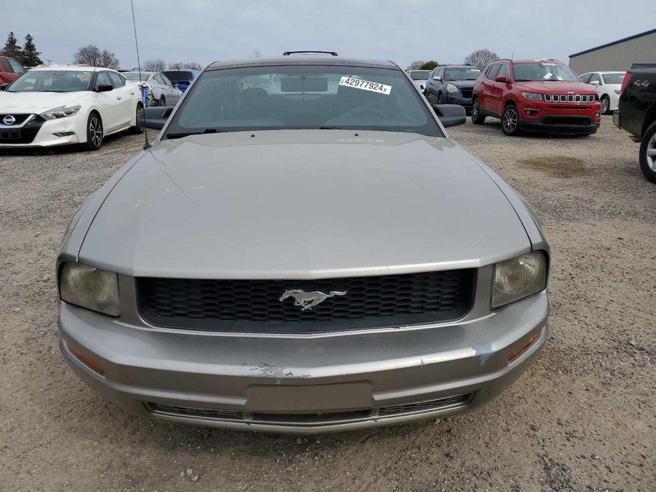 Photo 4 VIN: 1ZVHT80N595133175 - FORD MUSTANG 