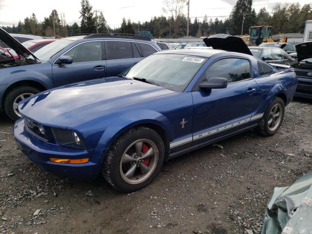 Photo 0 VIN: 1ZVHT80N665157903 - FORD MUSTANG 