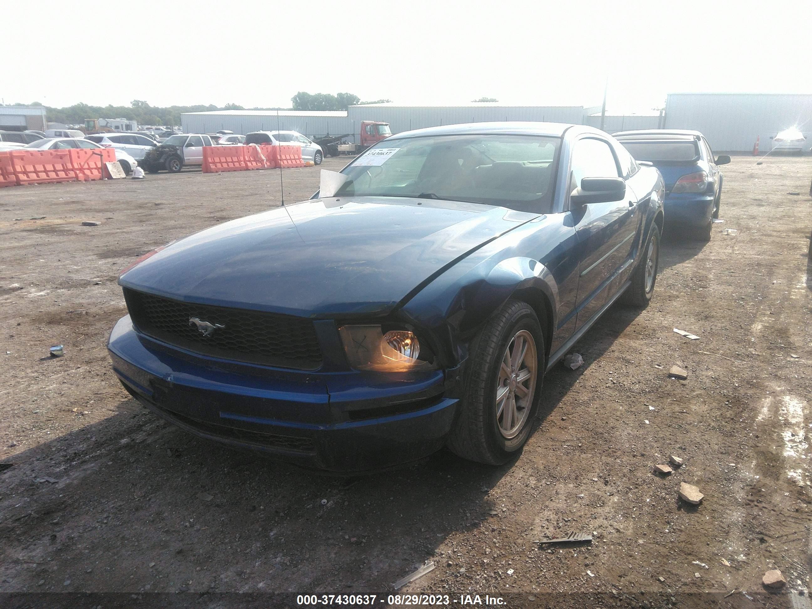 Photo 1 VIN: 1ZVHT80N685168774 - FORD MUSTANG 