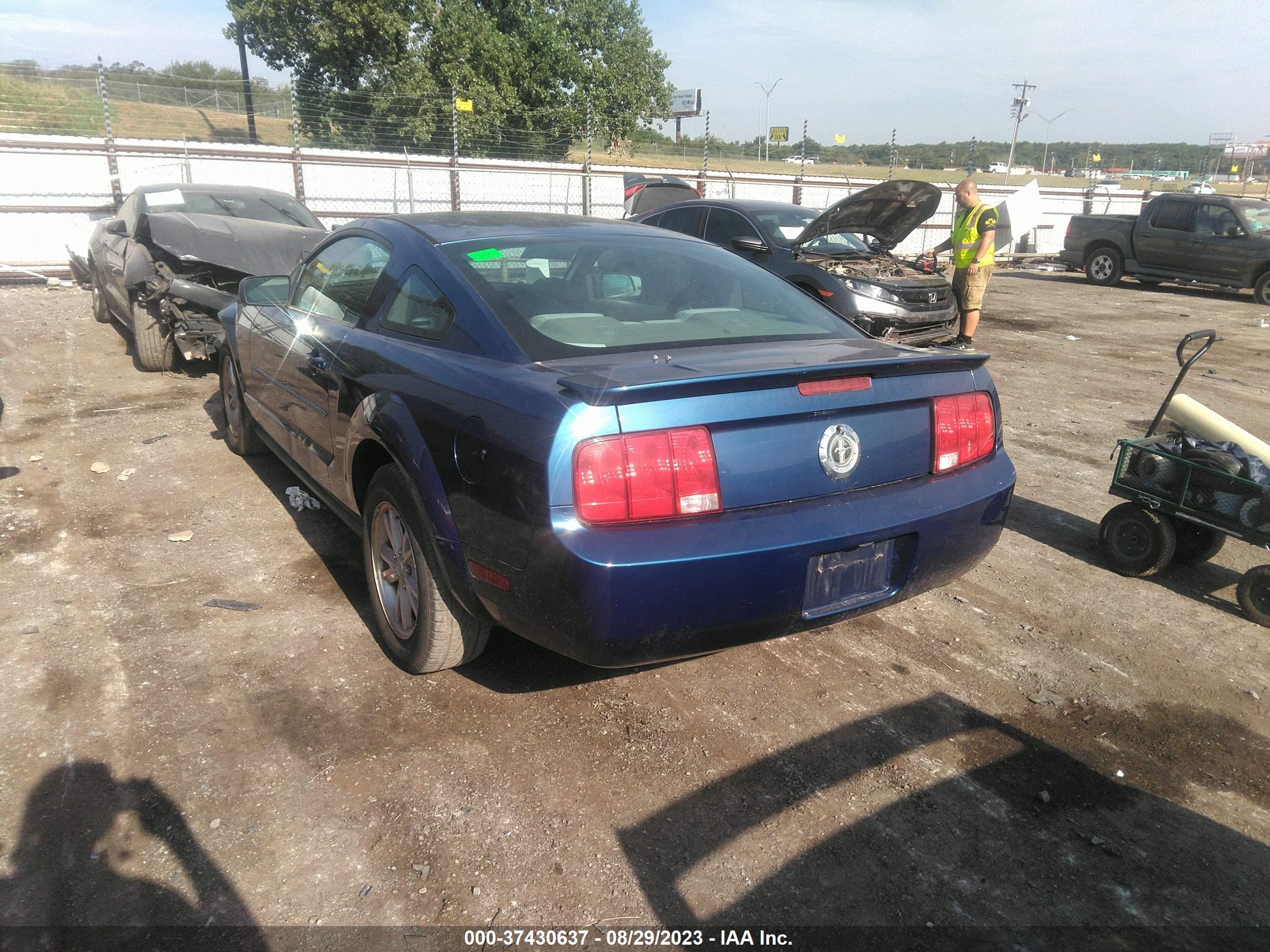 Photo 2 VIN: 1ZVHT80N685168774 - FORD MUSTANG 