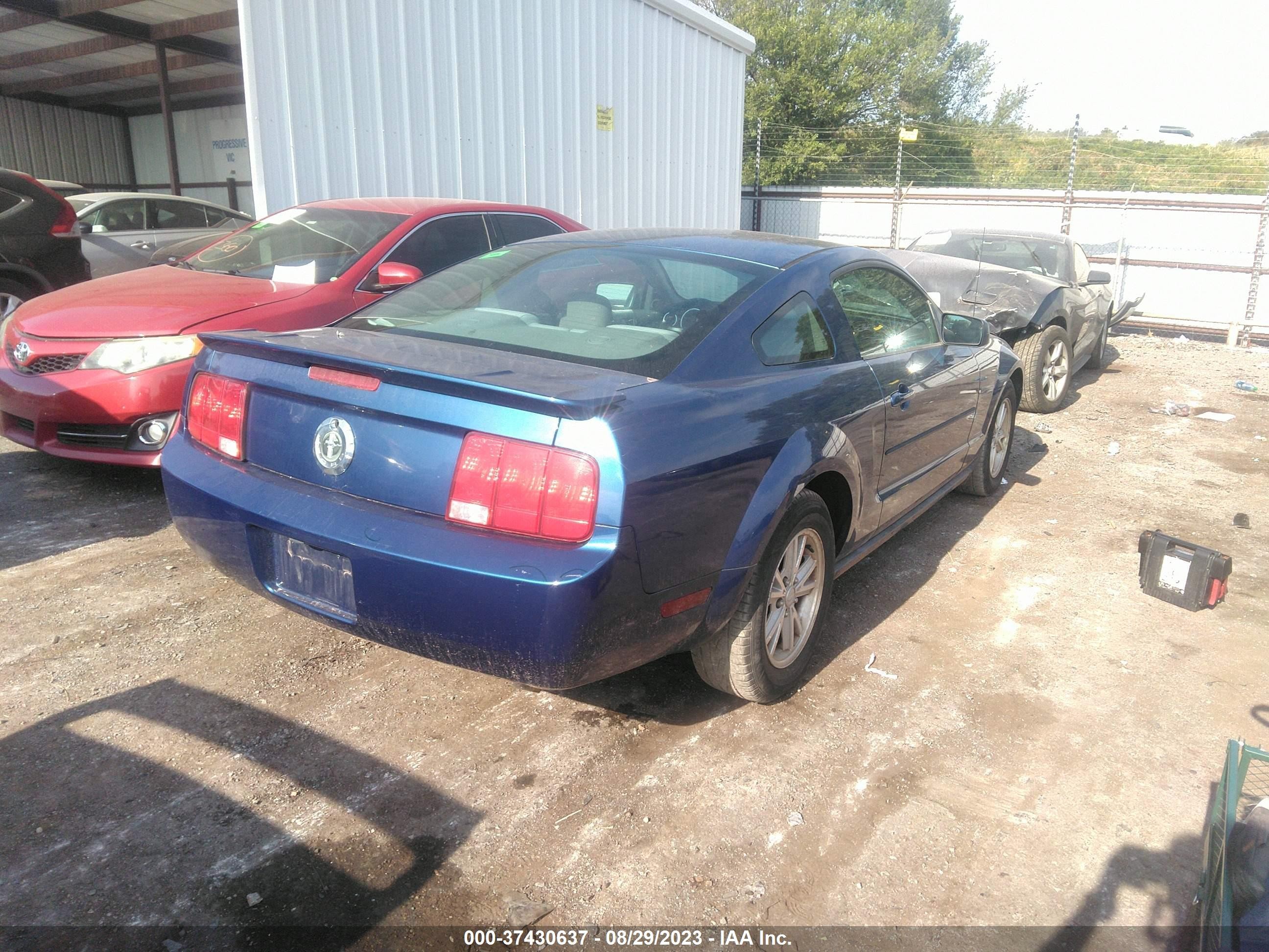 Photo 3 VIN: 1ZVHT80N685168774 - FORD MUSTANG 