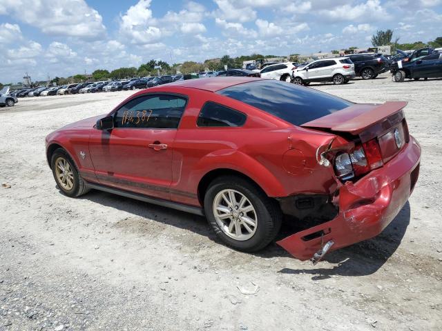 Photo 1 VIN: 1ZVHT80N695113923 - FORD MUSTANG 