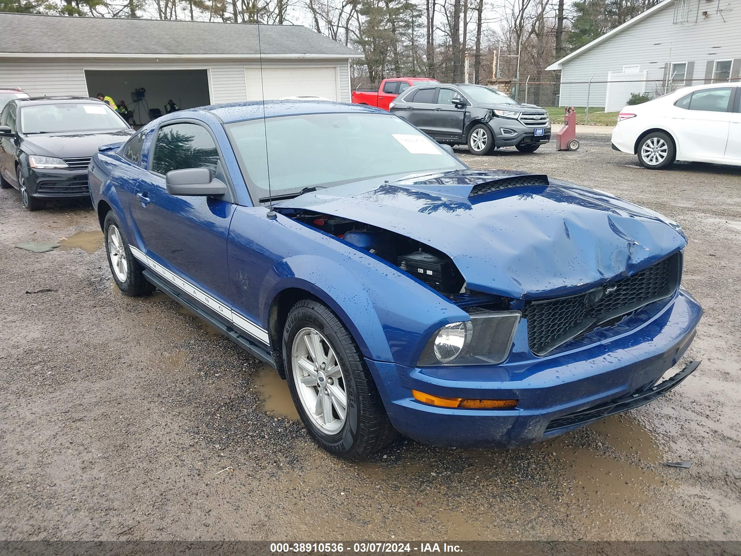 Photo 0 VIN: 1ZVHT80N695130477 - FORD MUSTANG 