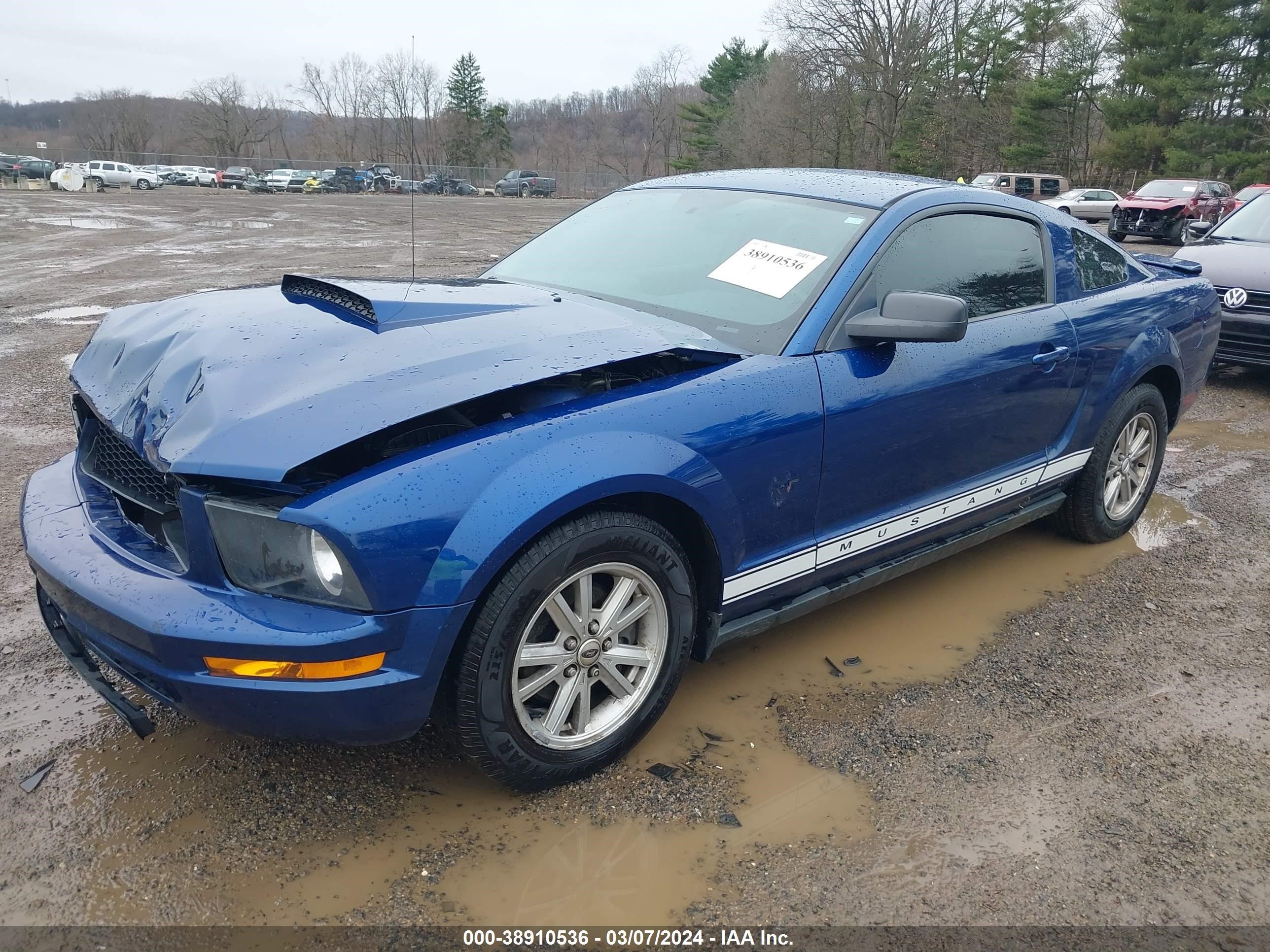 Photo 1 VIN: 1ZVHT80N695130477 - FORD MUSTANG 