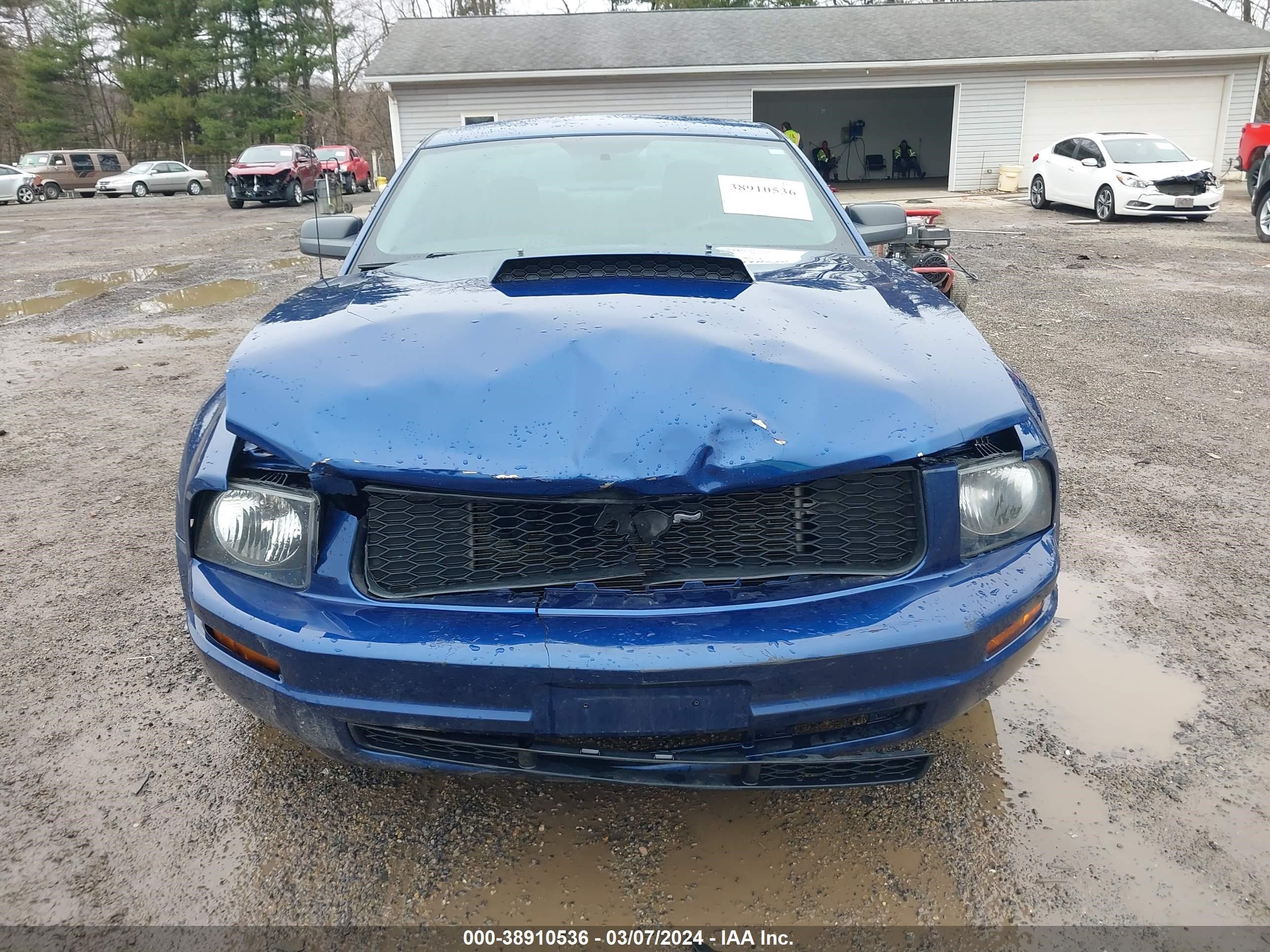 Photo 11 VIN: 1ZVHT80N695130477 - FORD MUSTANG 