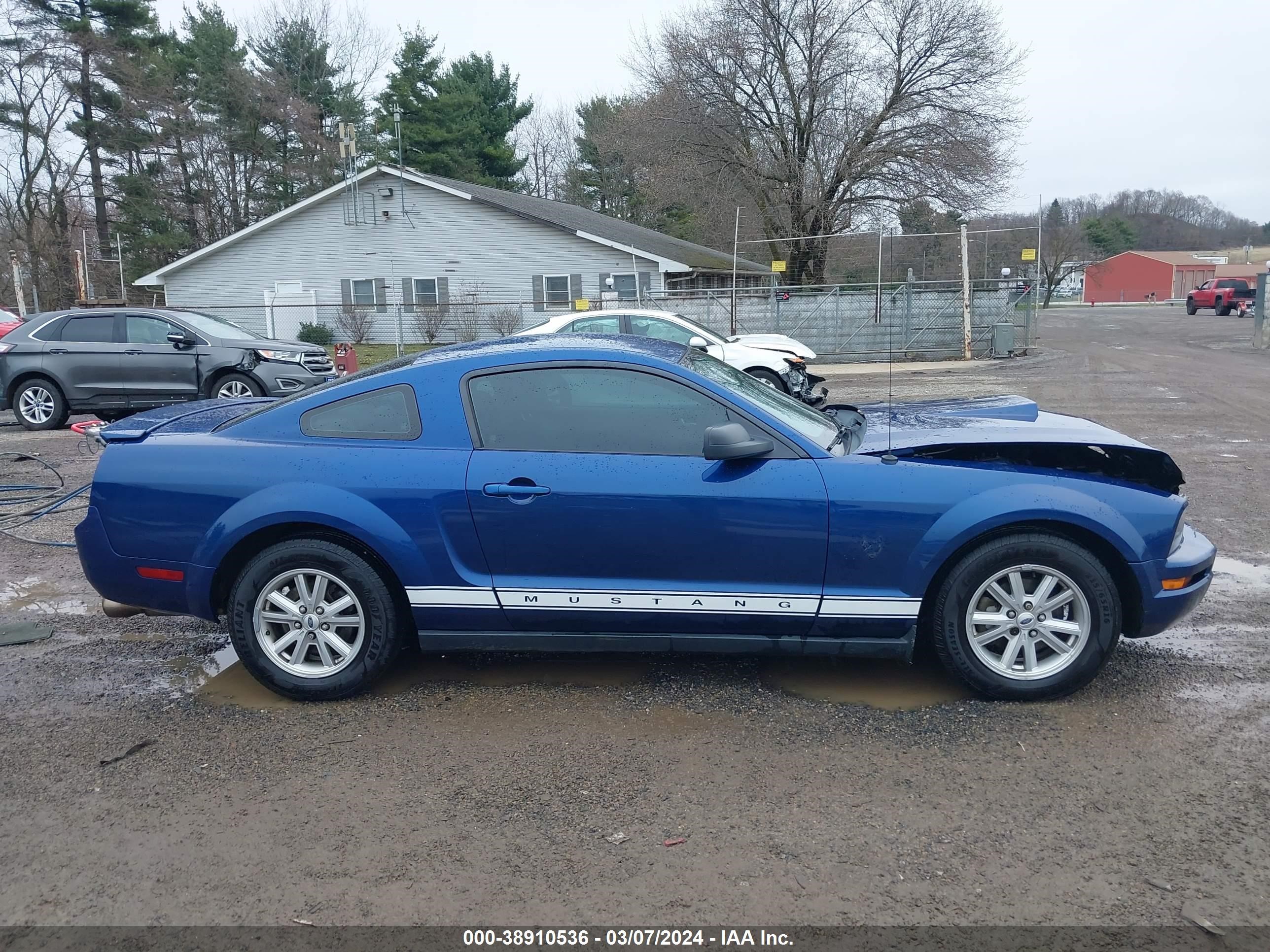 Photo 12 VIN: 1ZVHT80N695130477 - FORD MUSTANG 