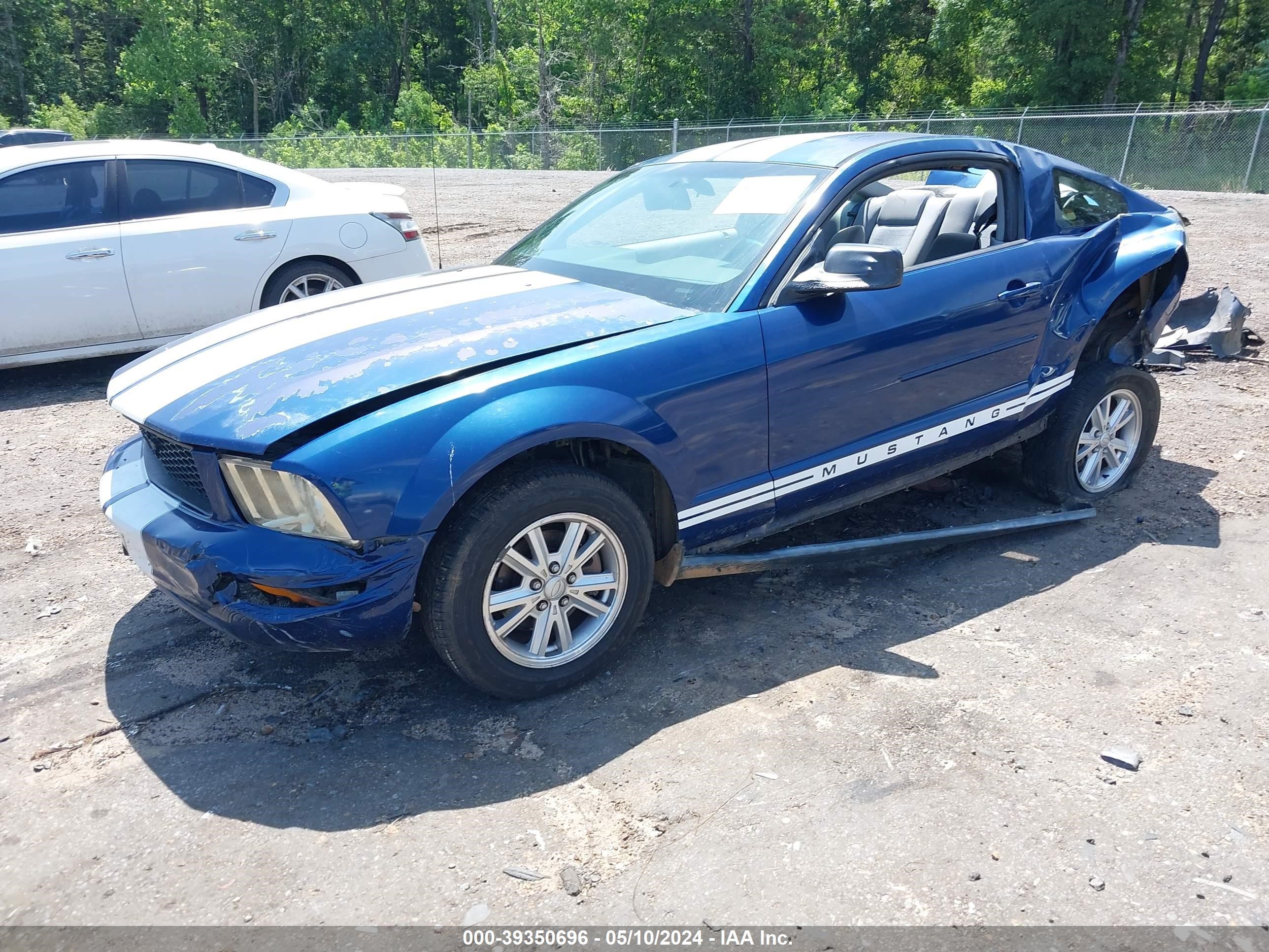 Photo 1 VIN: 1ZVHT80N785167620 - FORD MUSTANG 