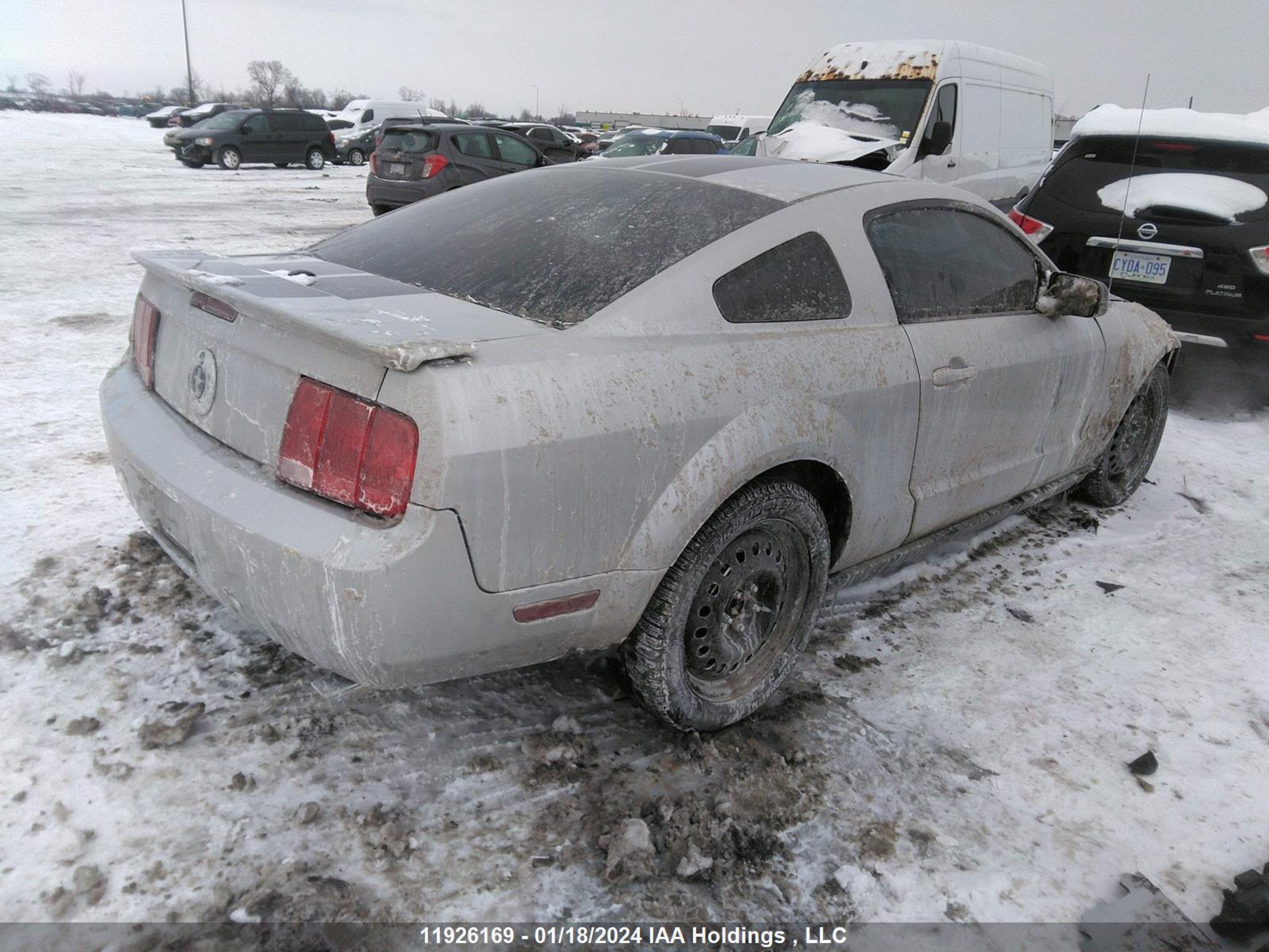 Photo 3 VIN: 1ZVHT80N795103269 - FORD MUSTANG 