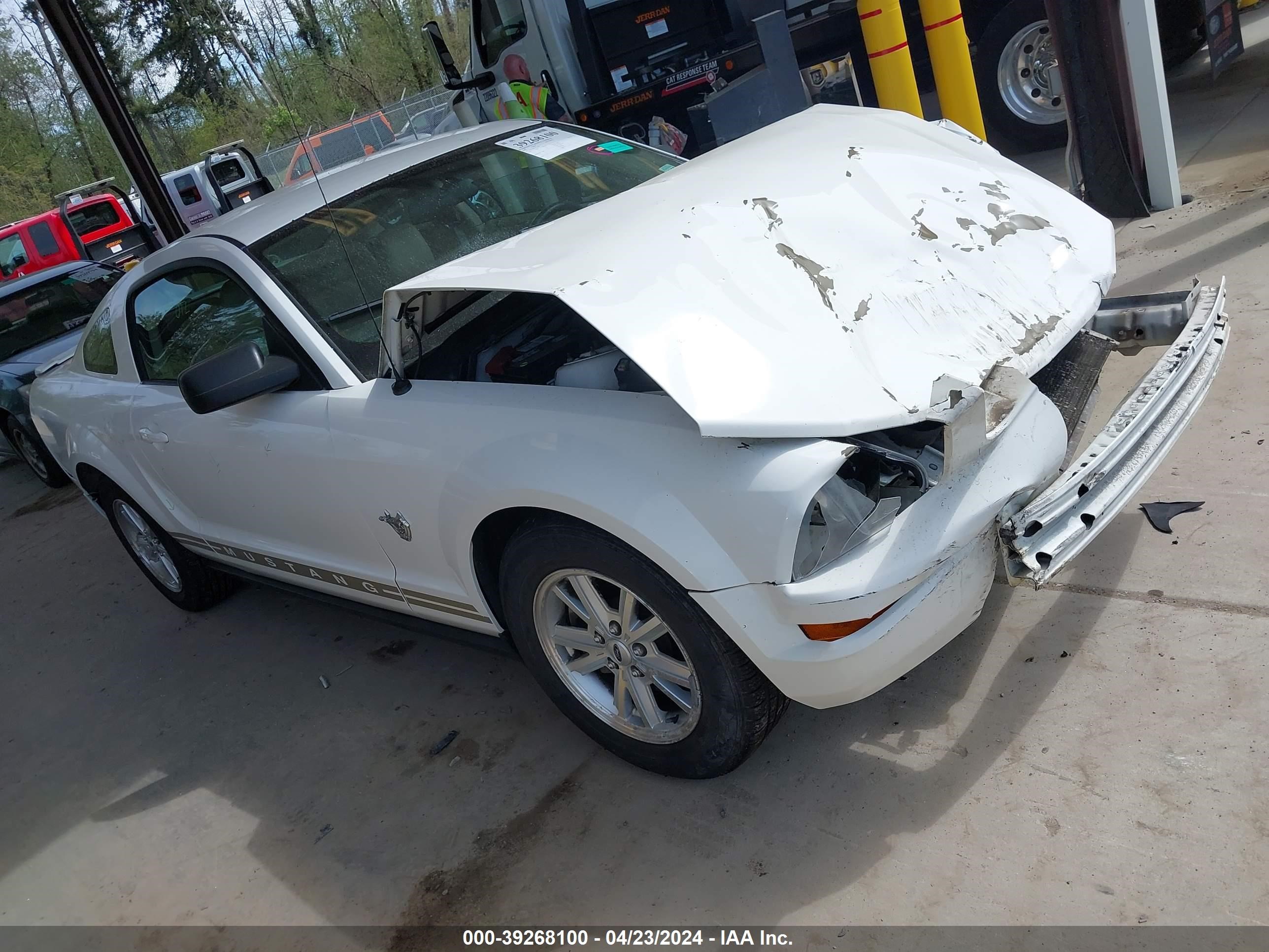 Photo 0 VIN: 1ZVHT80N795122050 - FORD MUSTANG 