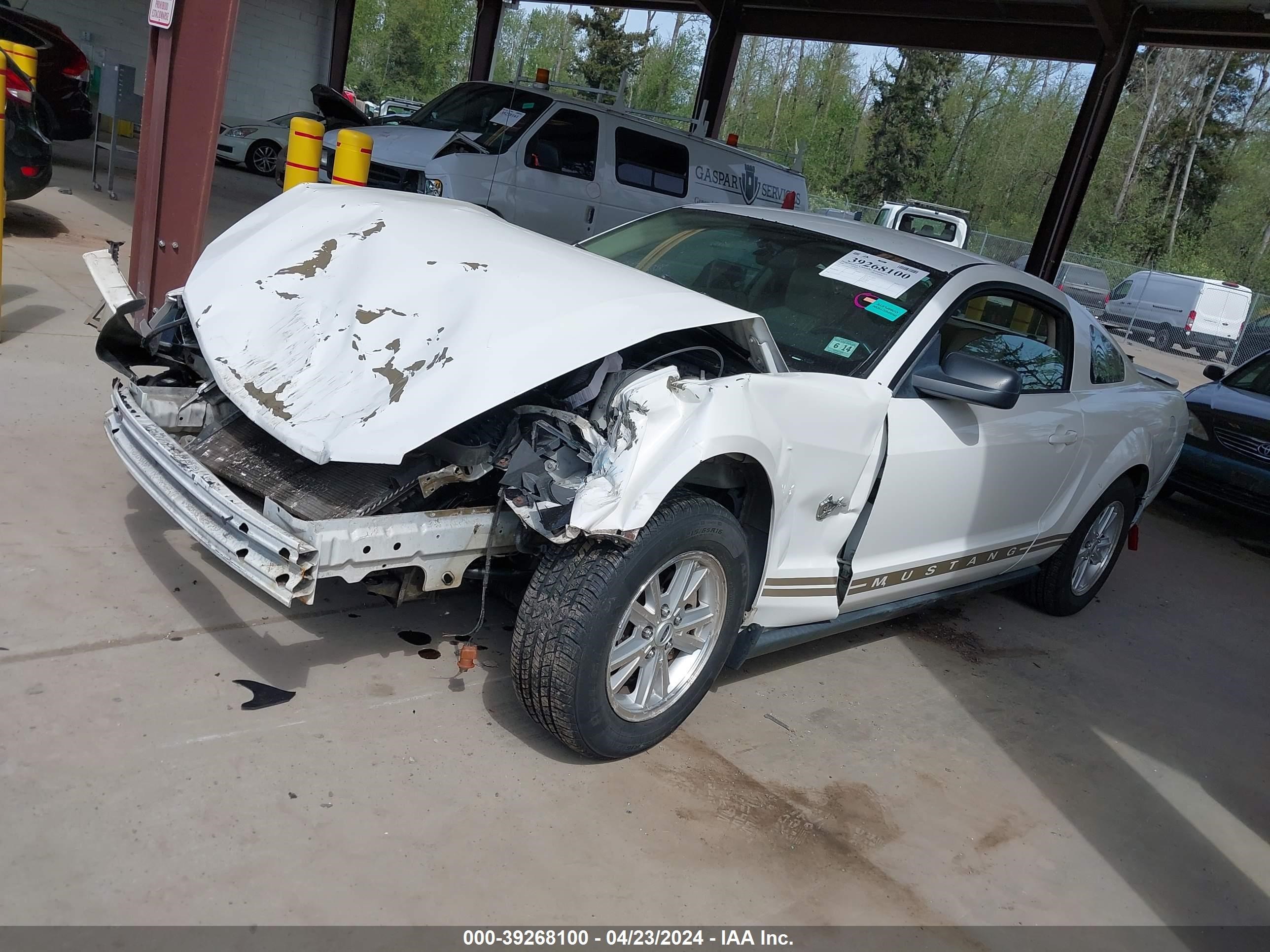 Photo 1 VIN: 1ZVHT80N795122050 - FORD MUSTANG 