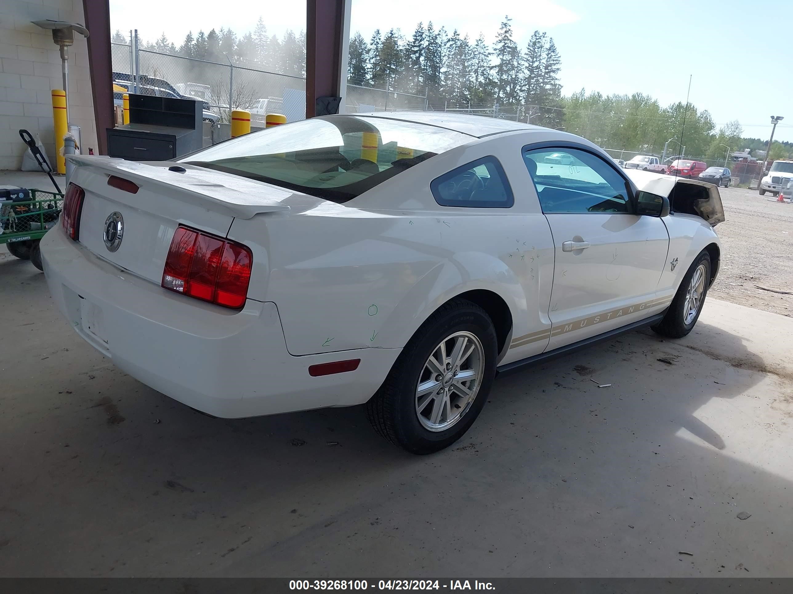 Photo 3 VIN: 1ZVHT80N795122050 - FORD MUSTANG 