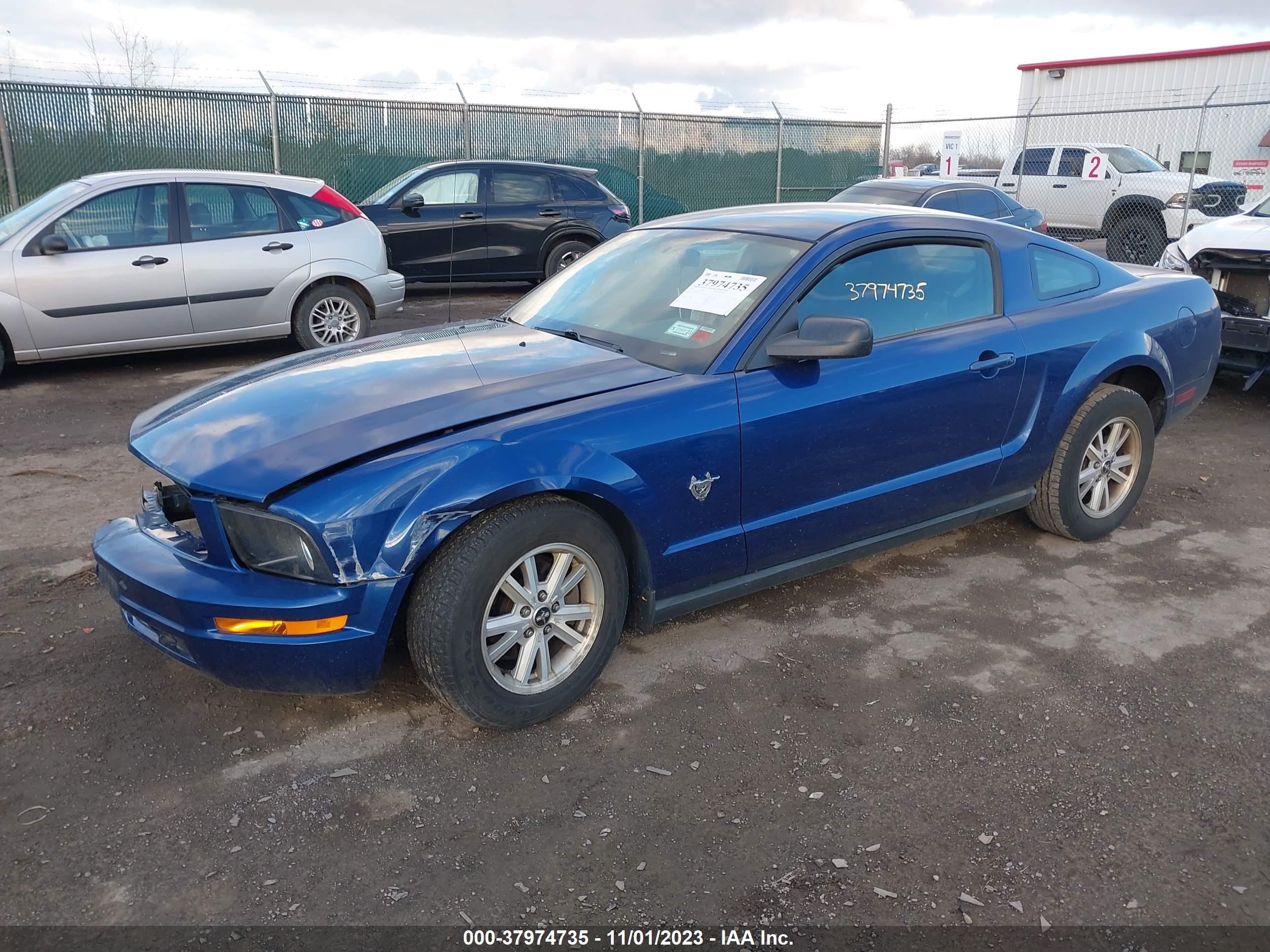 Photo 1 VIN: 1ZVHT80N795133999 - FORD MUSTANG 