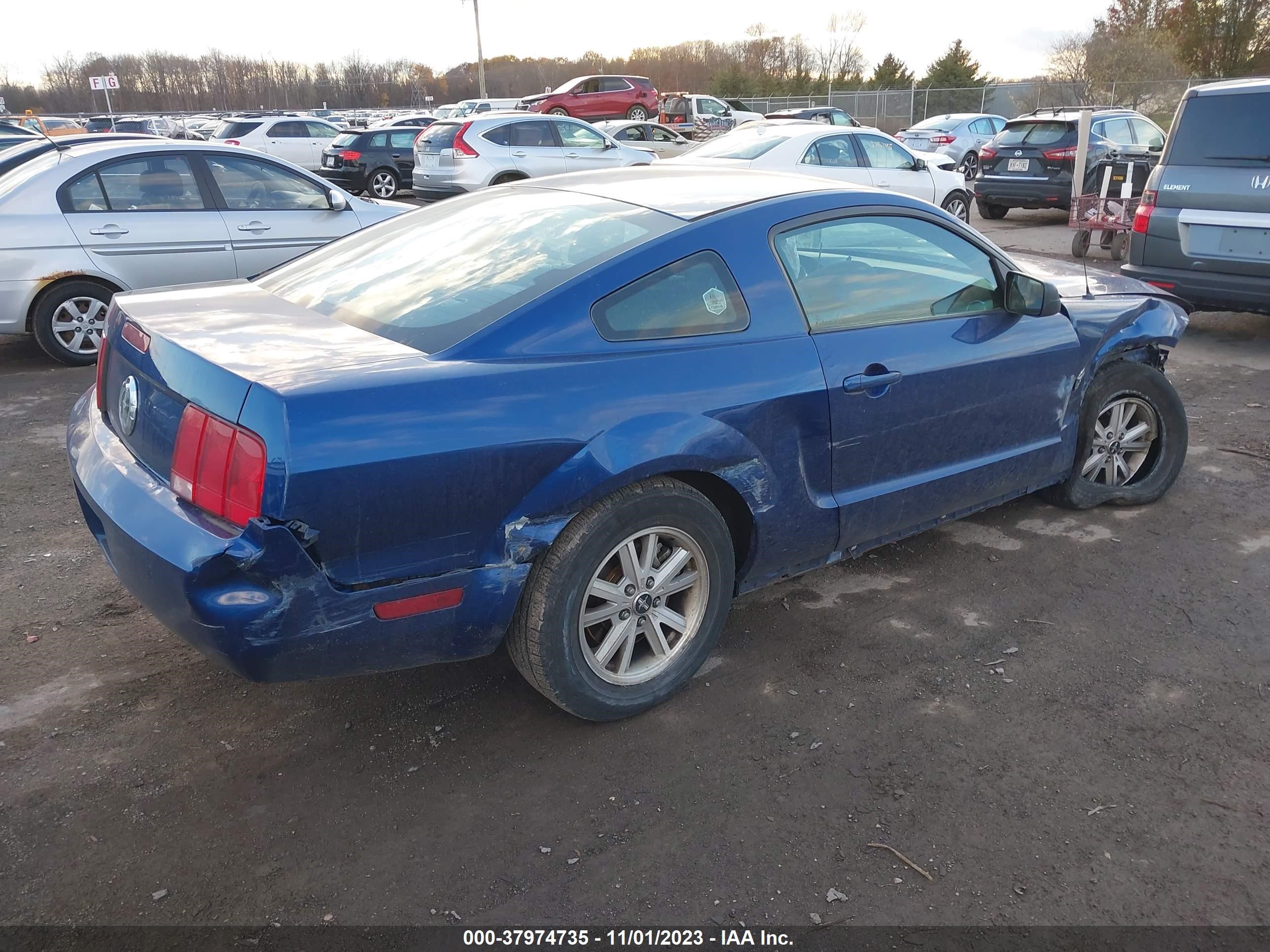 Photo 3 VIN: 1ZVHT80N795133999 - FORD MUSTANG 