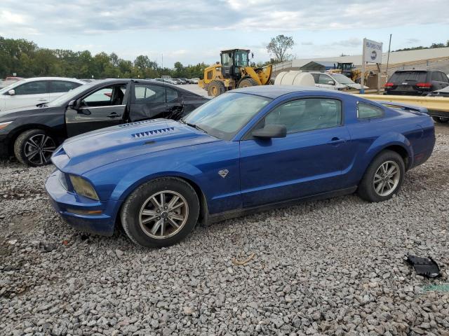 Photo 0 VIN: 1ZVHT80N865173956 - FORD MUSTANG 