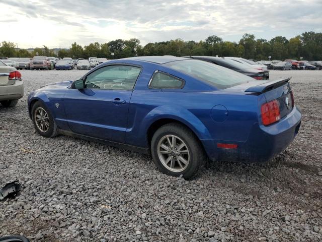 Photo 1 VIN: 1ZVHT80N865173956 - FORD MUSTANG 