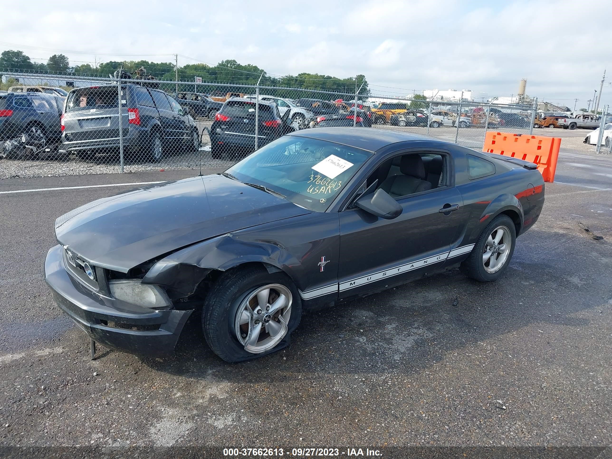 Photo 1 VIN: 1ZVHT80N875204902 - FORD MUSTANG 