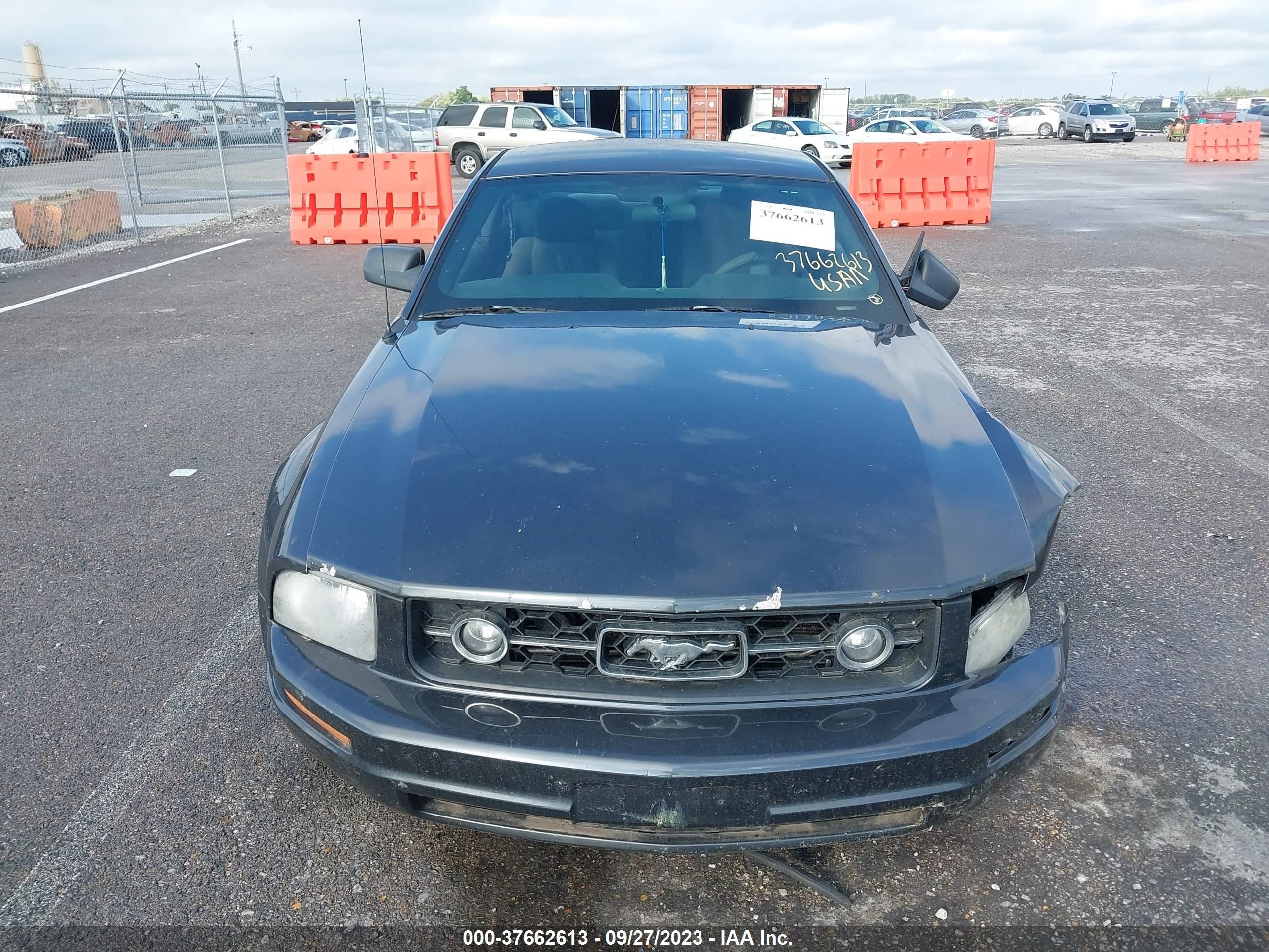 Photo 11 VIN: 1ZVHT80N875204902 - FORD MUSTANG 