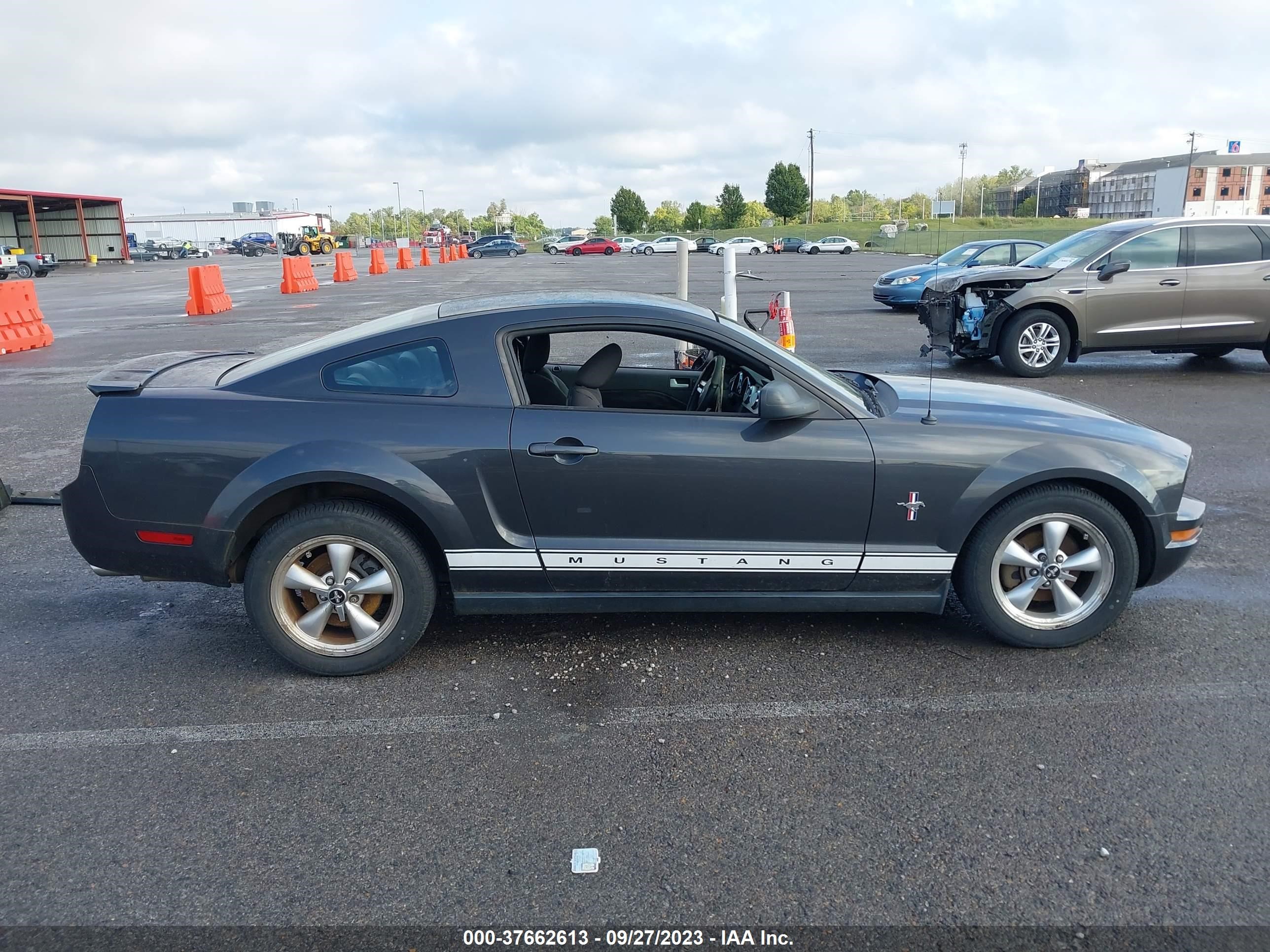 Photo 12 VIN: 1ZVHT80N875204902 - FORD MUSTANG 