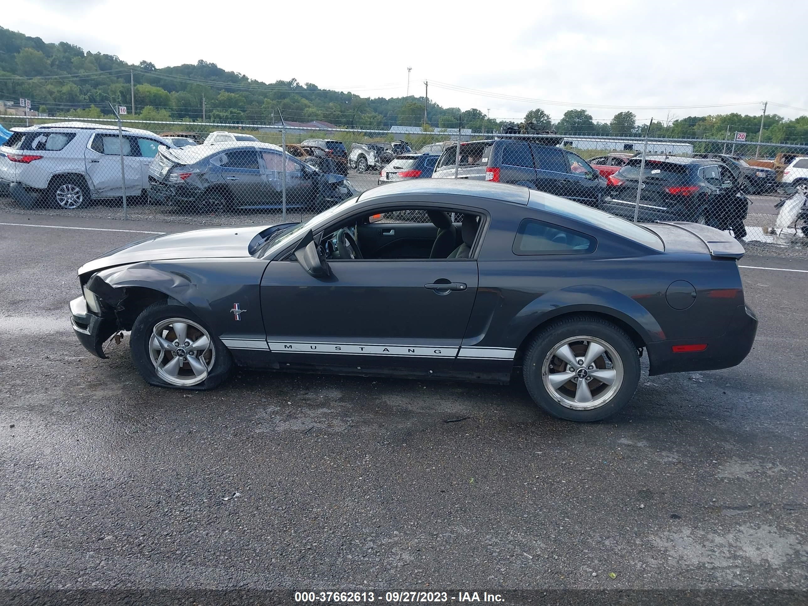 Photo 13 VIN: 1ZVHT80N875204902 - FORD MUSTANG 