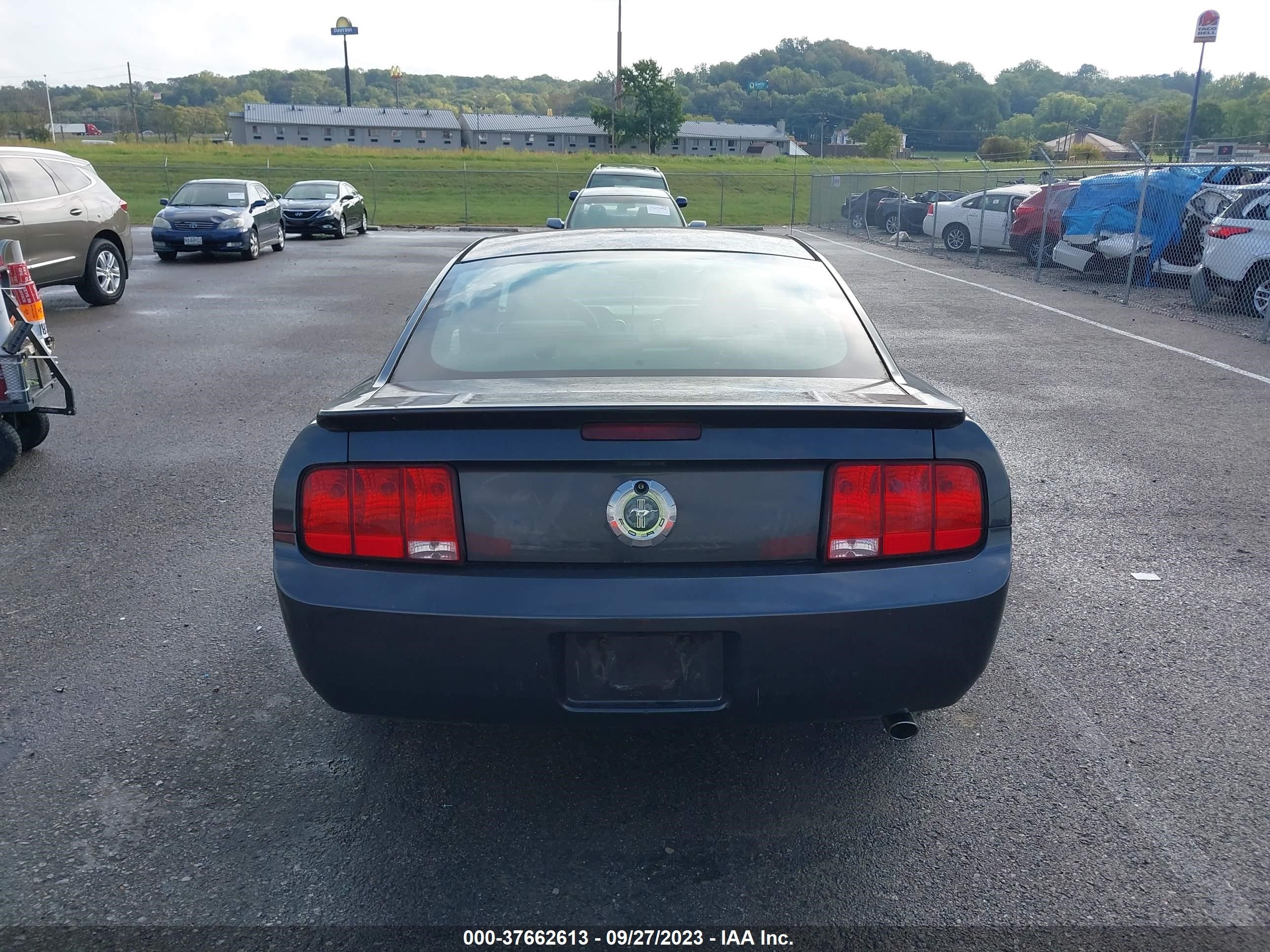 Photo 15 VIN: 1ZVHT80N875204902 - FORD MUSTANG 