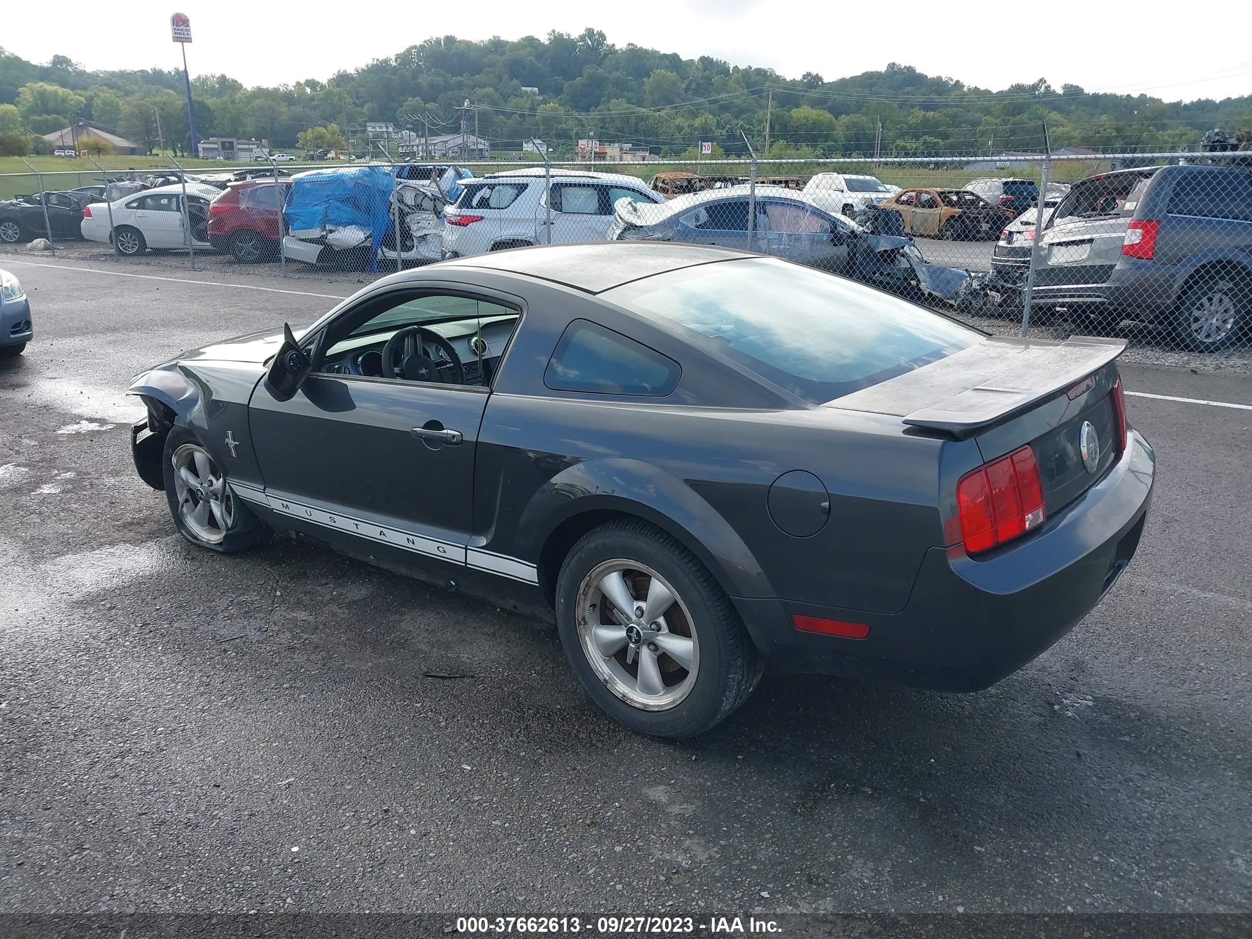 Photo 2 VIN: 1ZVHT80N875204902 - FORD MUSTANG 