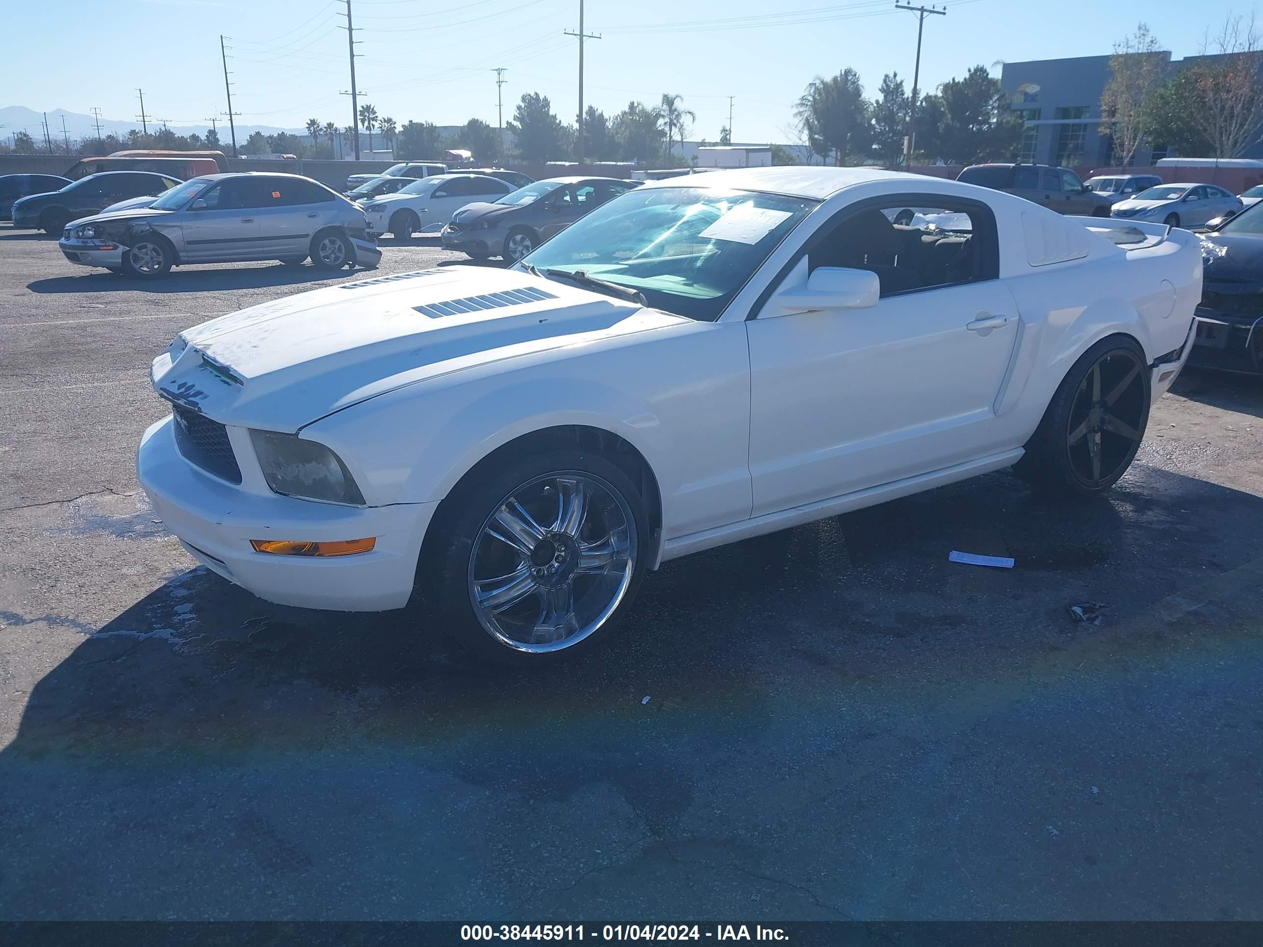 Photo 1 VIN: 1ZVHT80N885135050 - FORD MUSTANG 