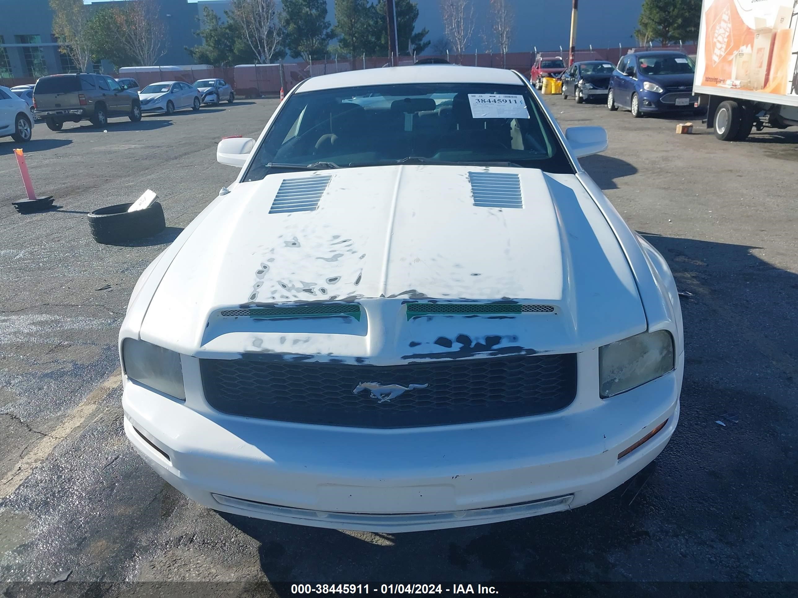 Photo 11 VIN: 1ZVHT80N885135050 - FORD MUSTANG 