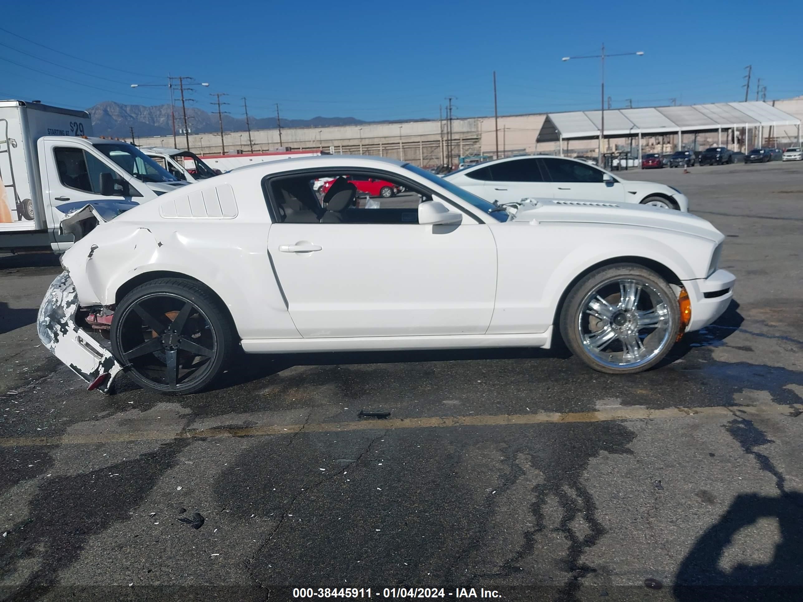 Photo 12 VIN: 1ZVHT80N885135050 - FORD MUSTANG 