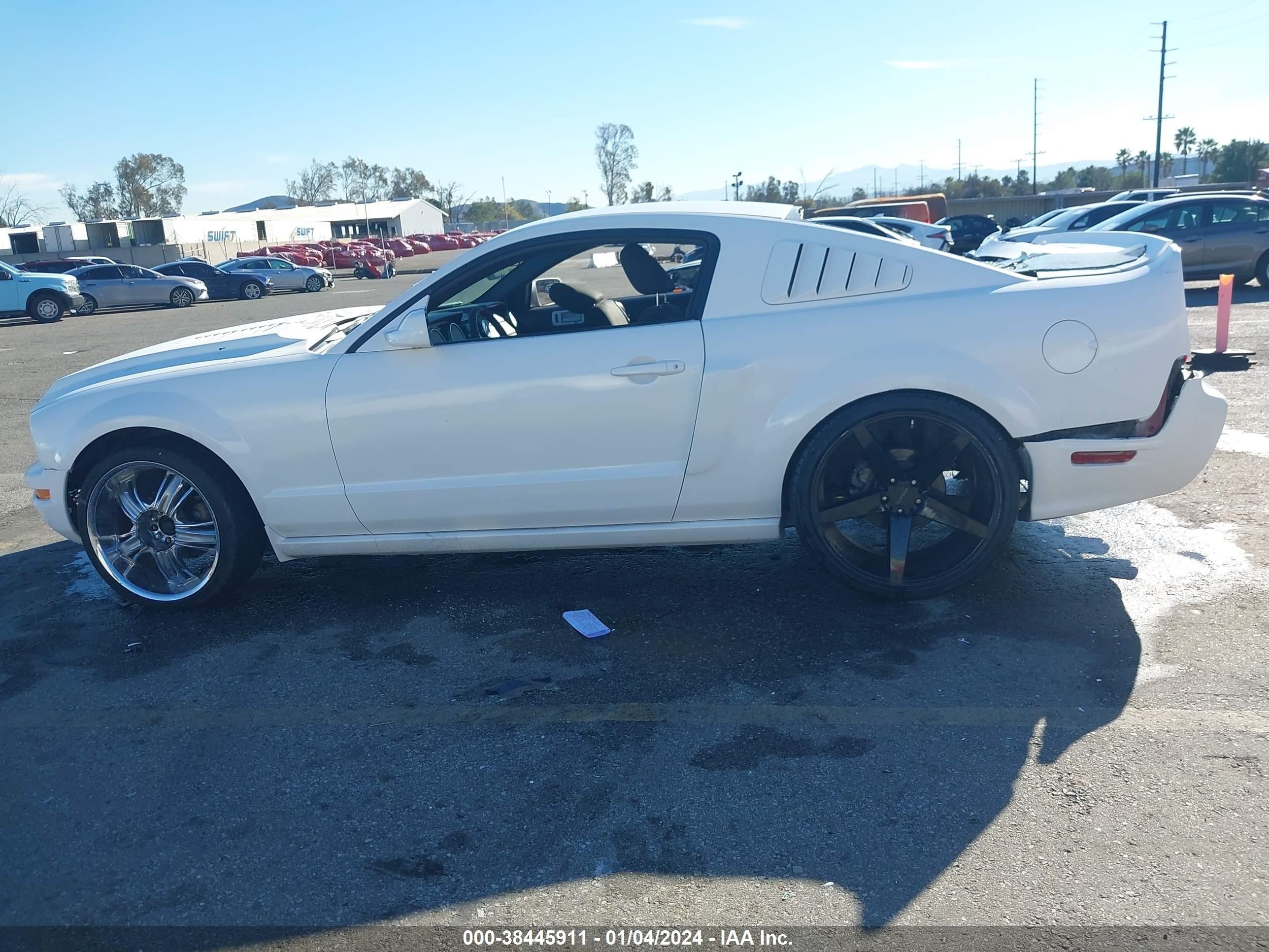 Photo 13 VIN: 1ZVHT80N885135050 - FORD MUSTANG 