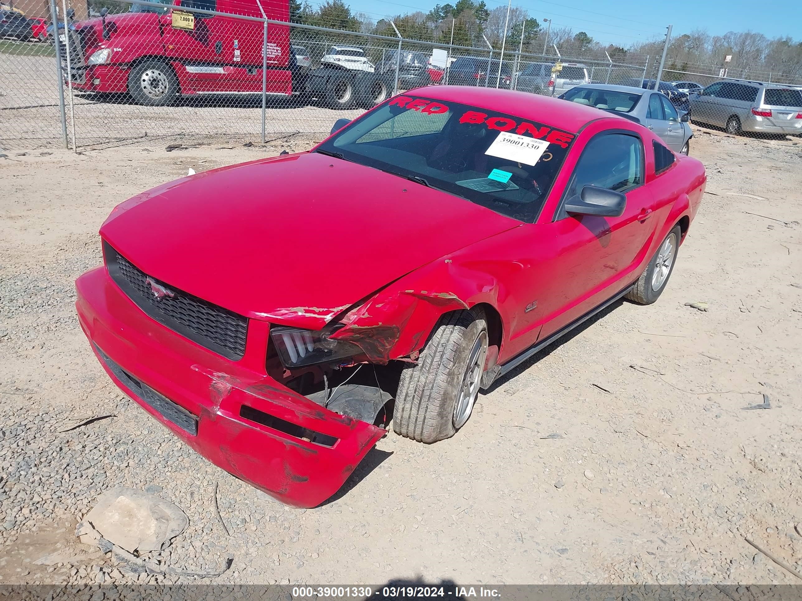 Photo 1 VIN: 1ZVHT80N885141415 - FORD MUSTANG 