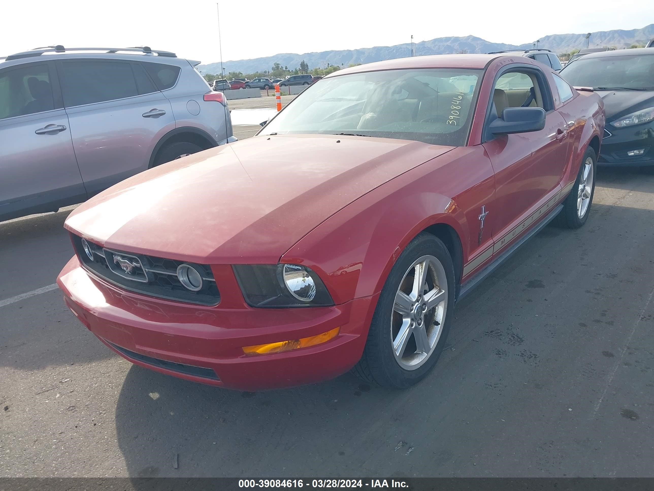 Photo 1 VIN: 1ZVHT80N885206523 - FORD MUSTANG 