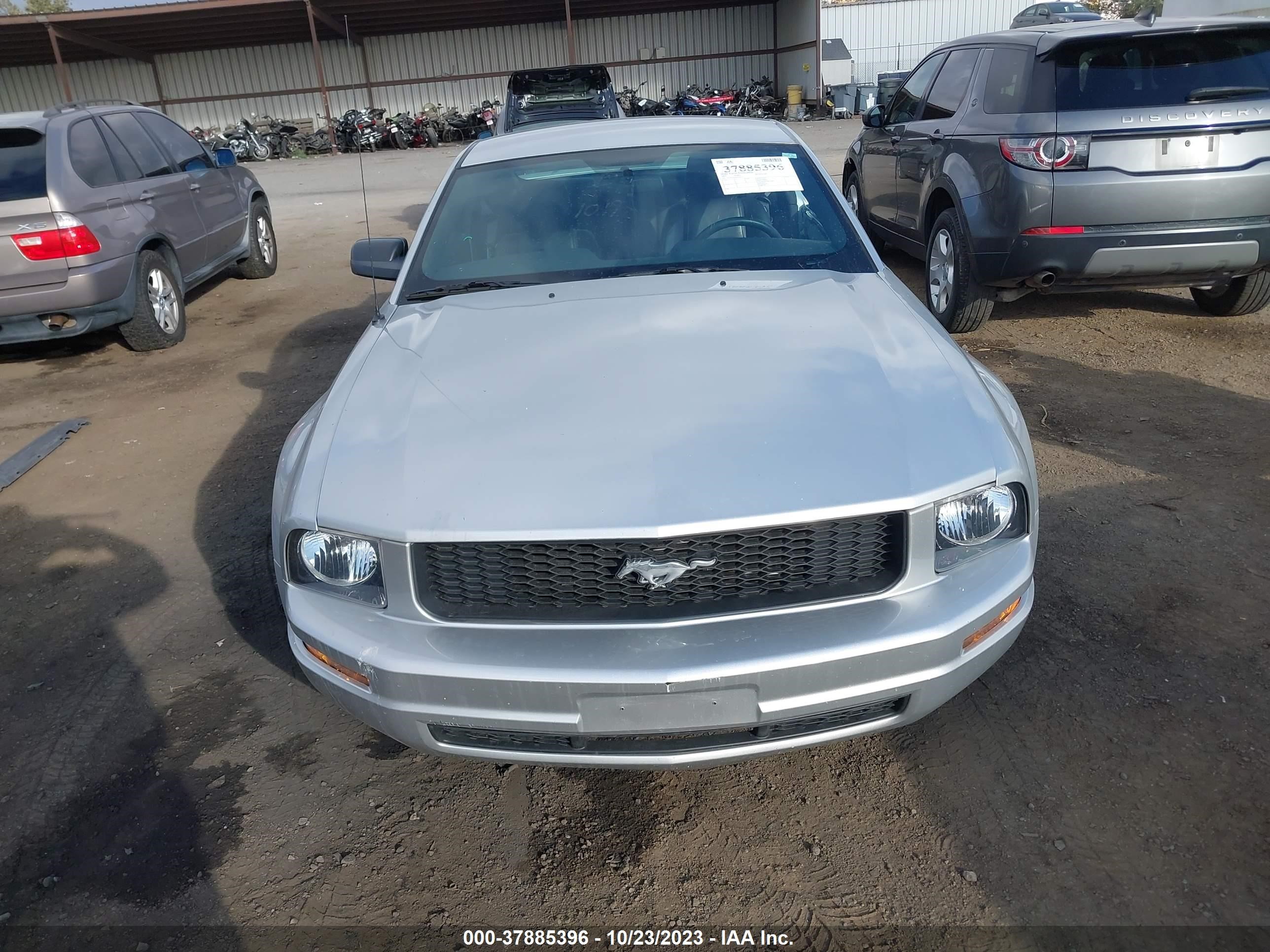 Photo 12 VIN: 1ZVHT80N895109131 - FORD MUSTANG 