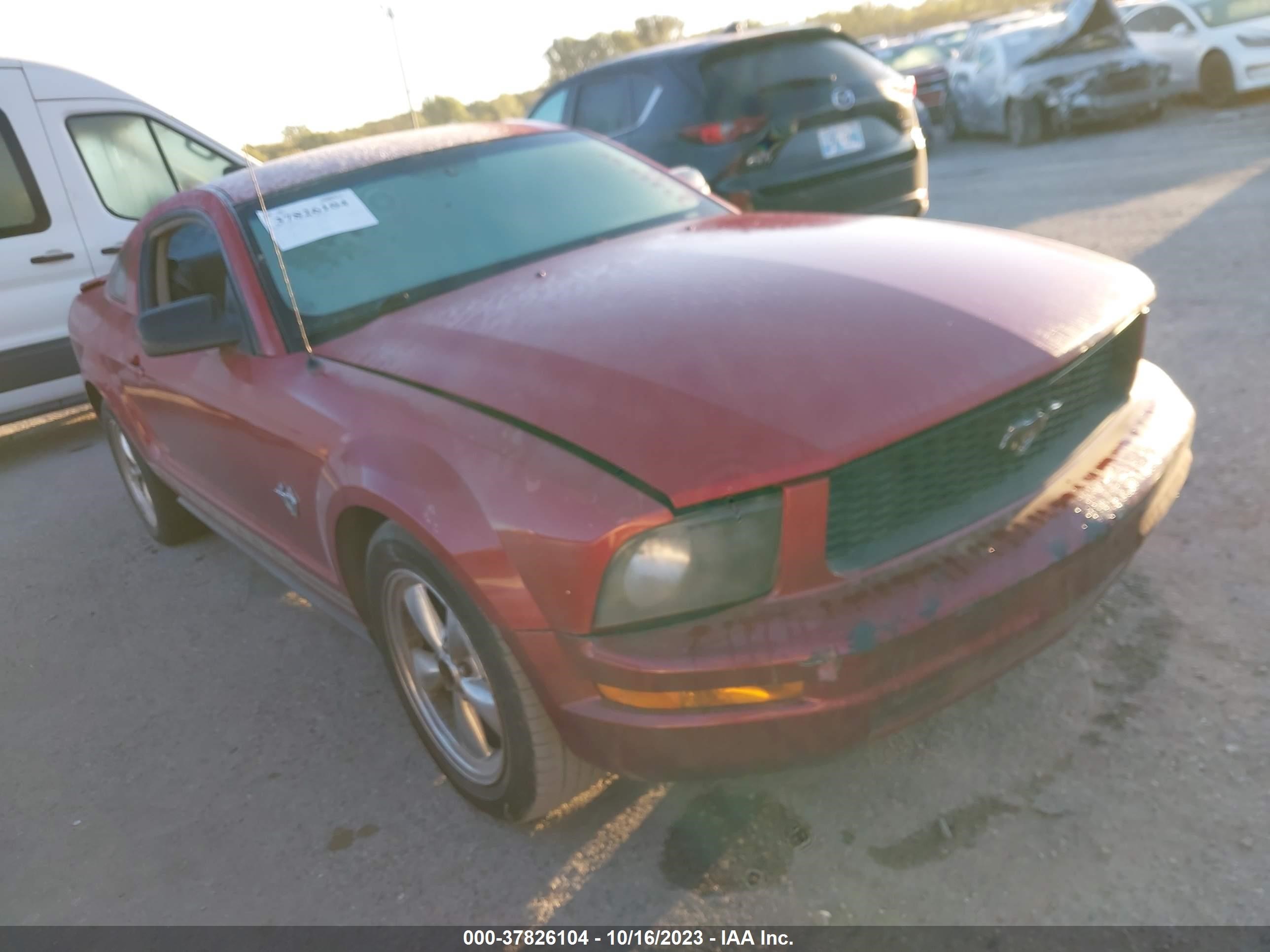 Photo 0 VIN: 1ZVHT80N895115608 - FORD MUSTANG 