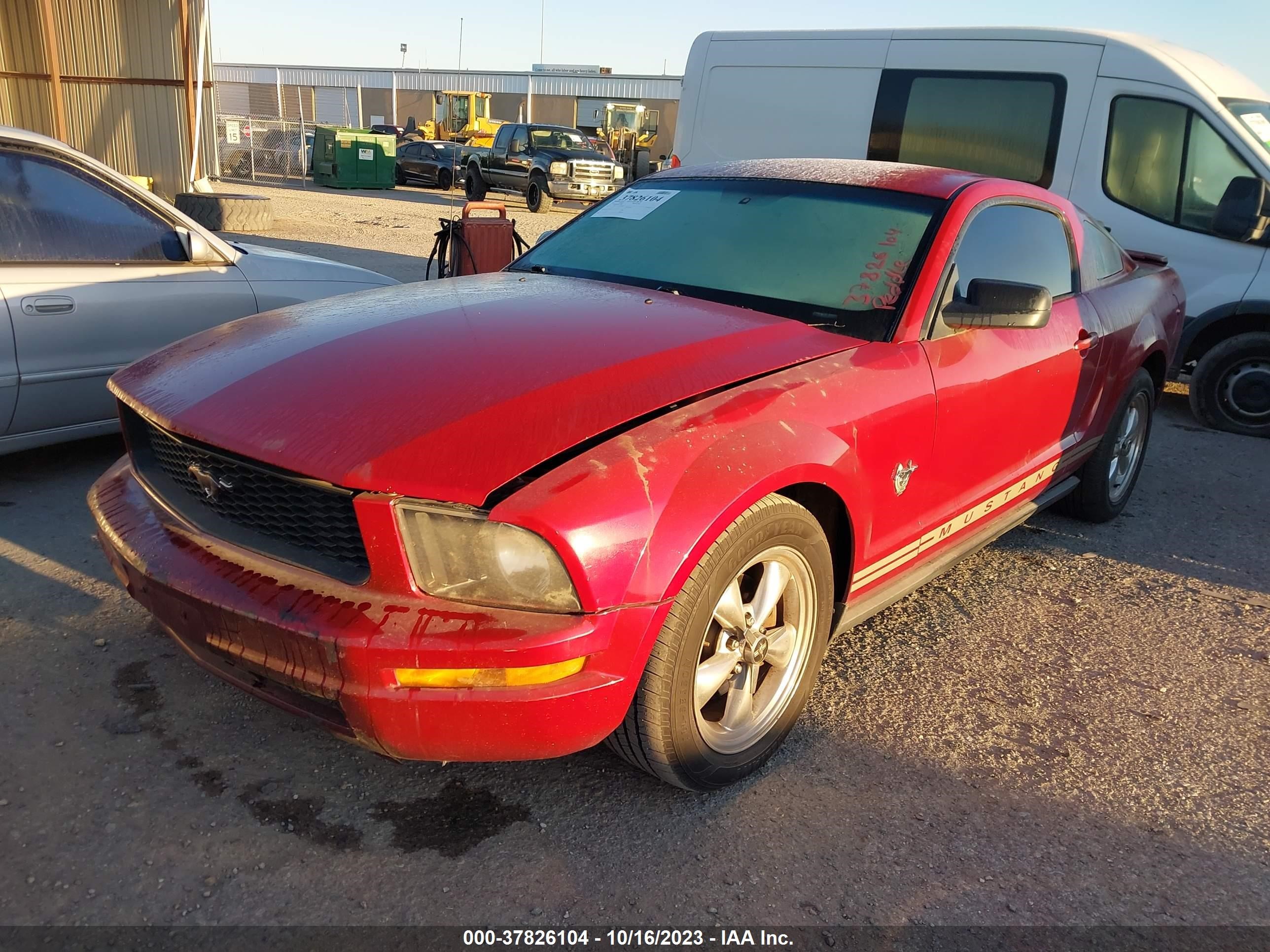 Photo 1 VIN: 1ZVHT80N895115608 - FORD MUSTANG 