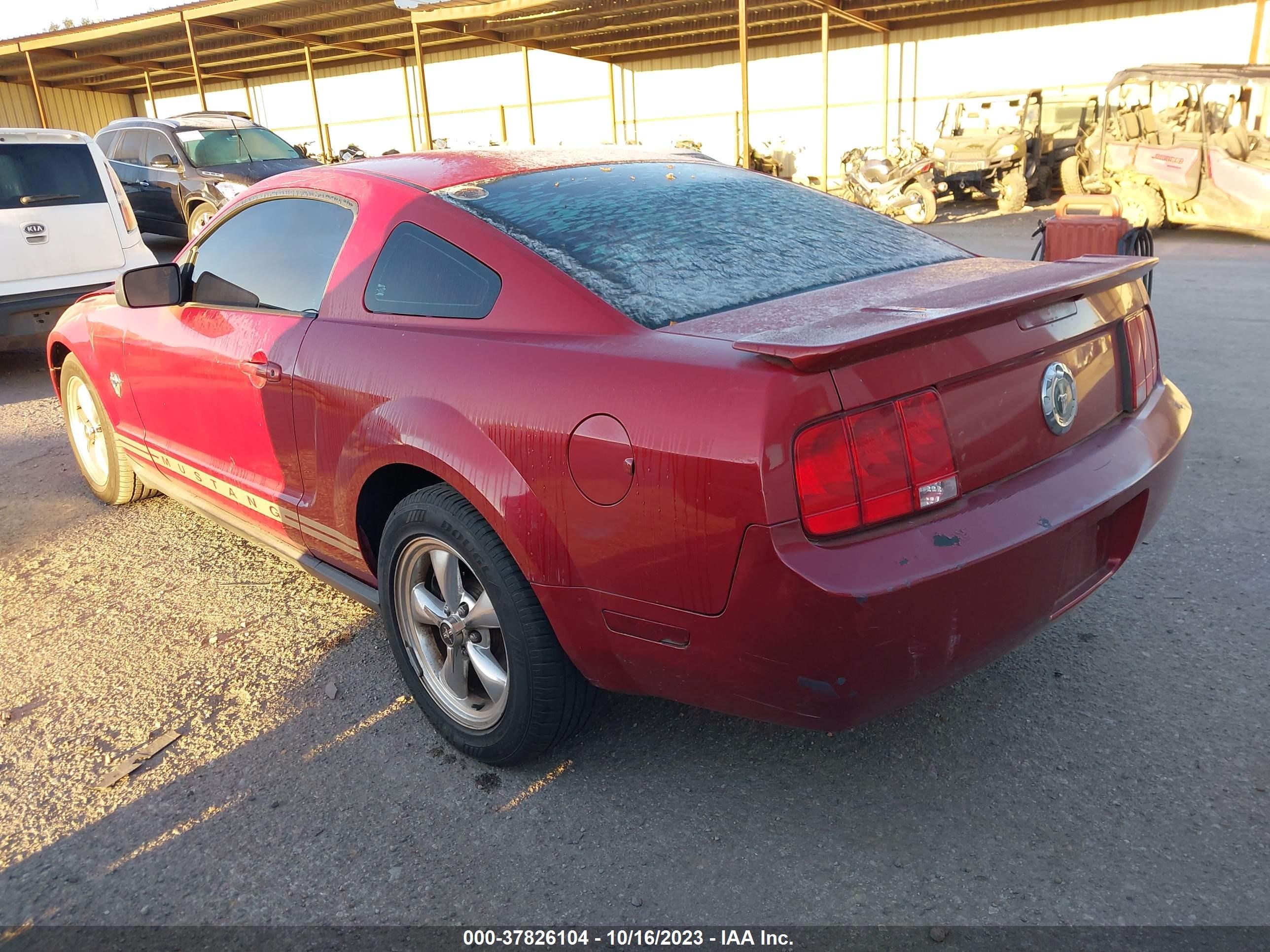 Photo 2 VIN: 1ZVHT80N895115608 - FORD MUSTANG 