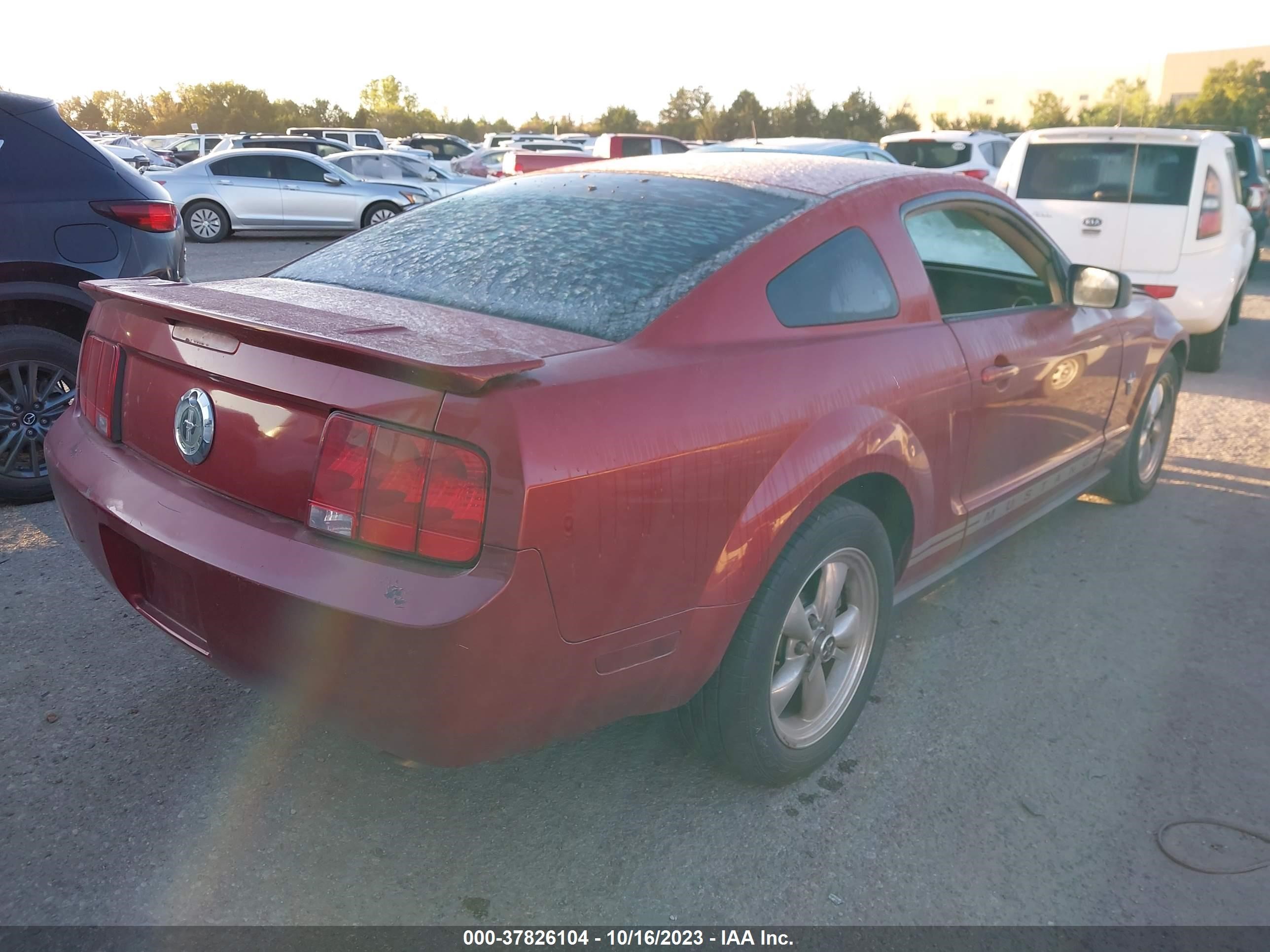 Photo 3 VIN: 1ZVHT80N895115608 - FORD MUSTANG 